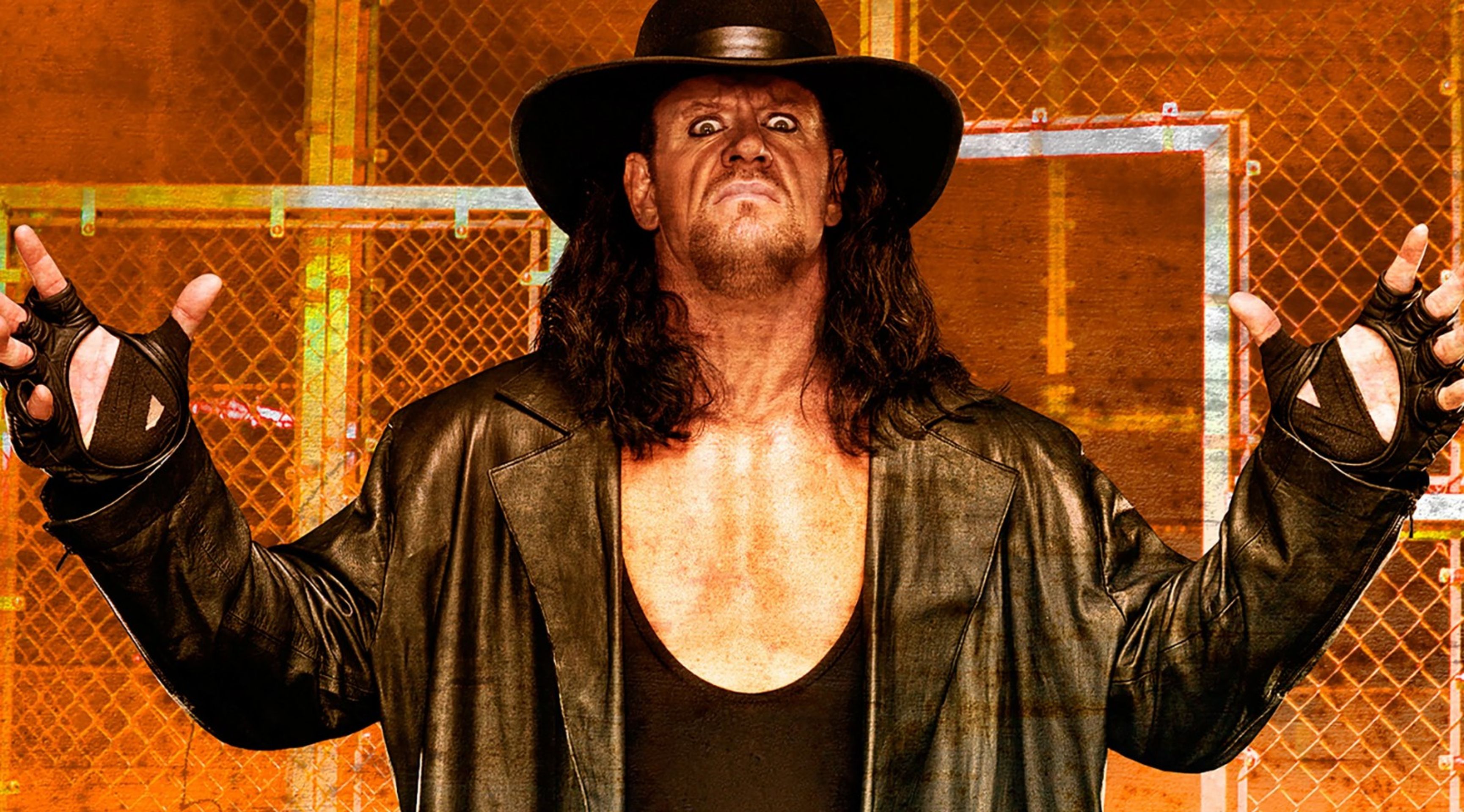 WWE 헬 인 어 셀 2009