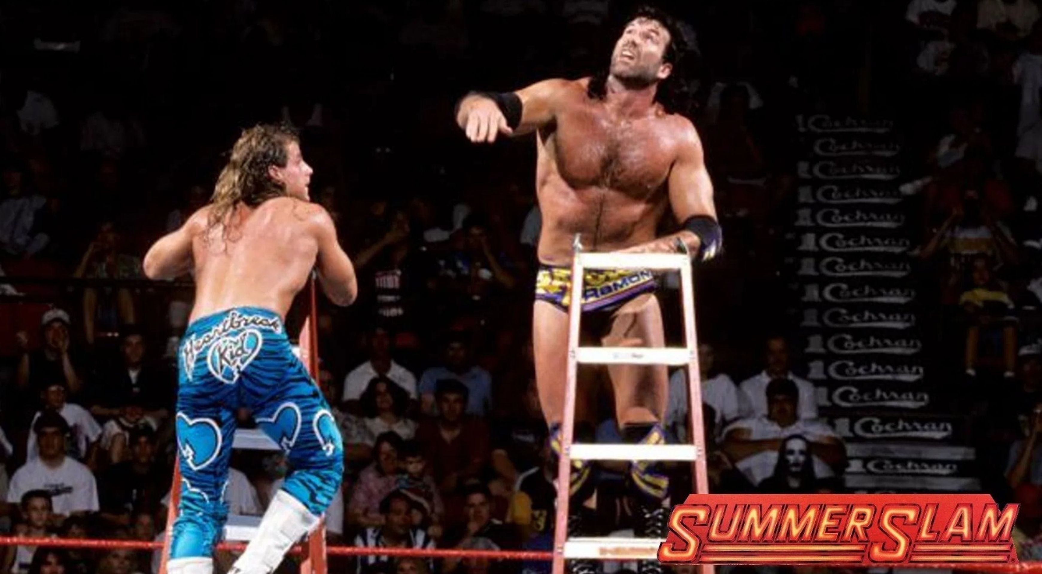 WWE 서머슬램 1995