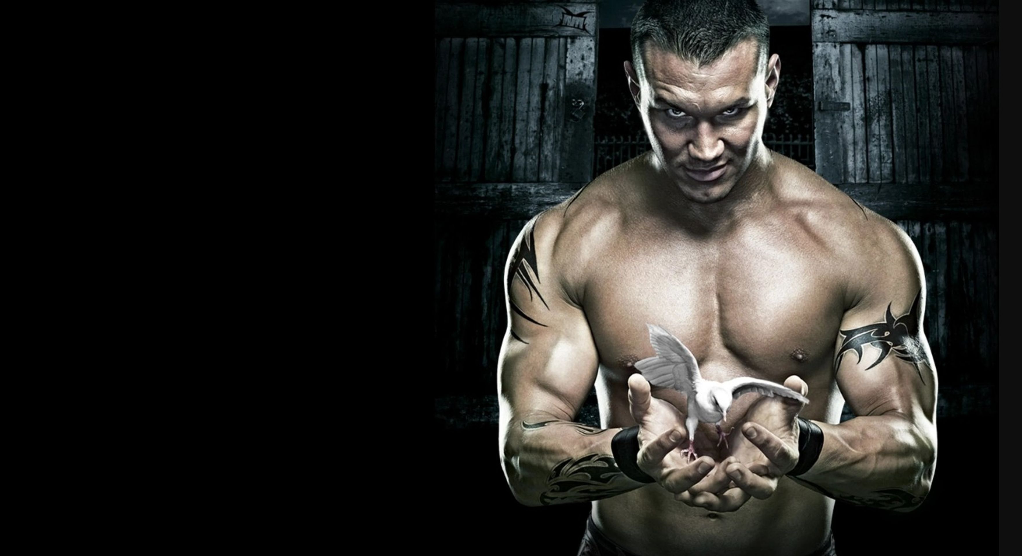 WWE 노 머시 2007