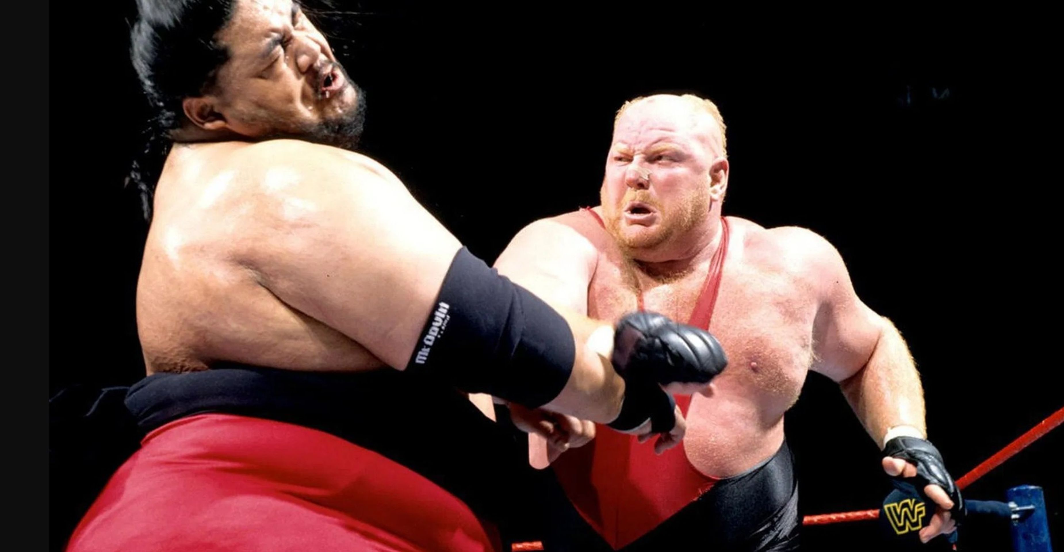 WWE 로열 럼블 1996