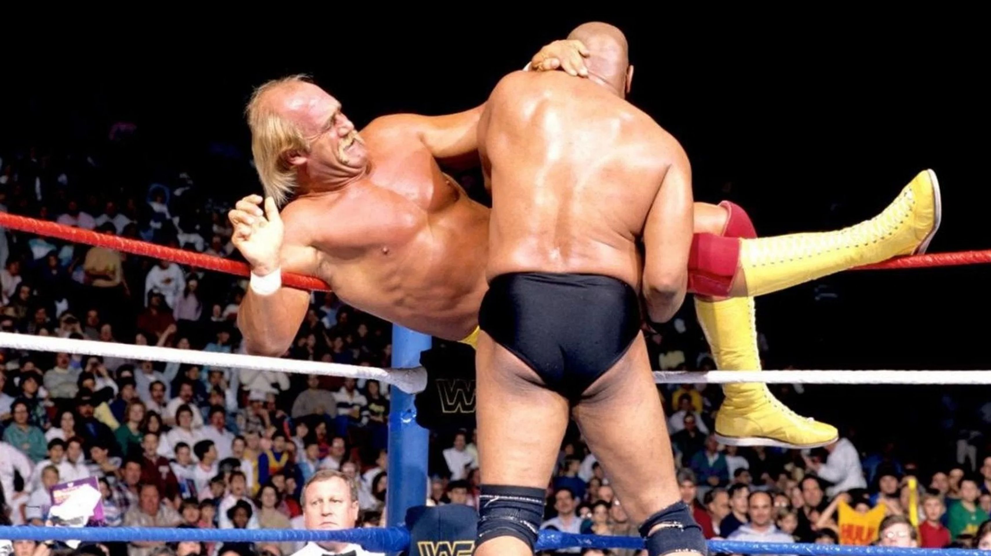 WWE 로열 럼블 1989