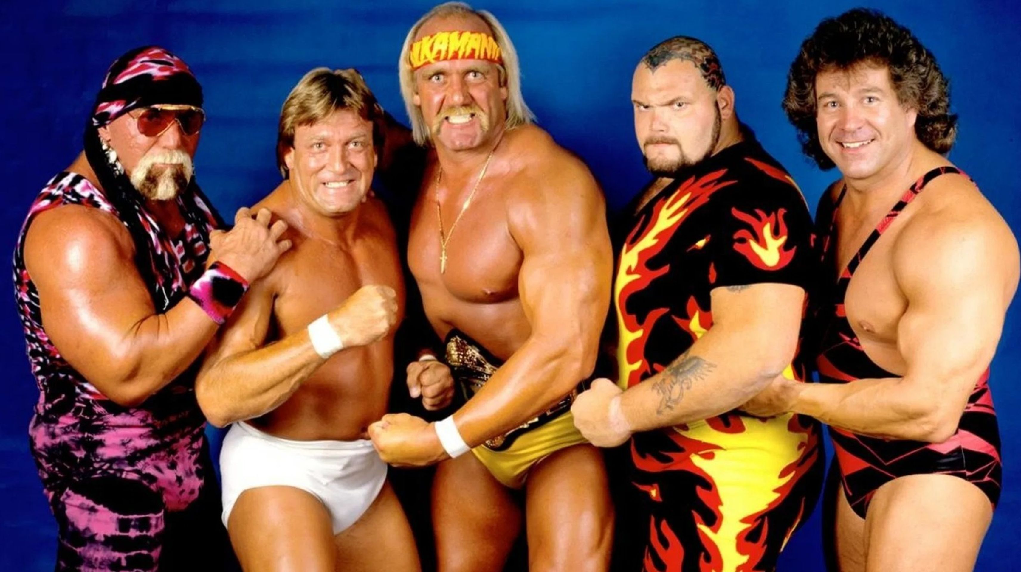 WWE 서바이버 시리즈 1987