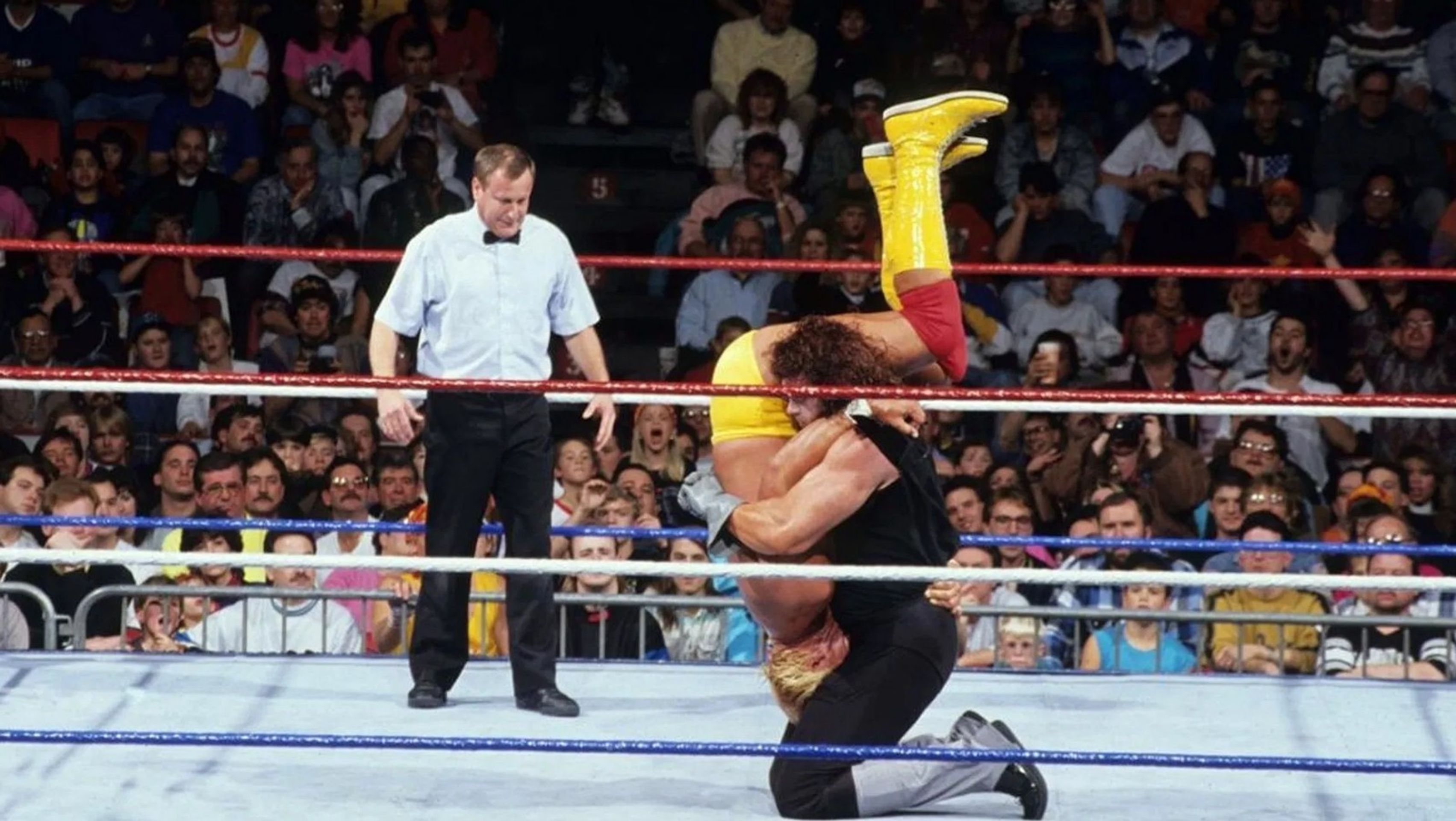 WWE 서바이버 시리즈 1991