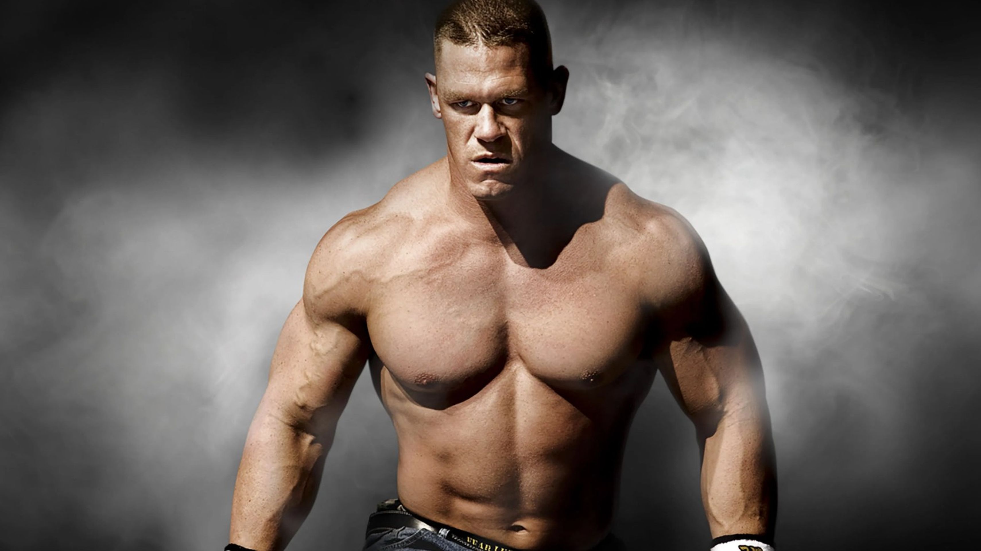 WWE 서바이버 시리즈 2008