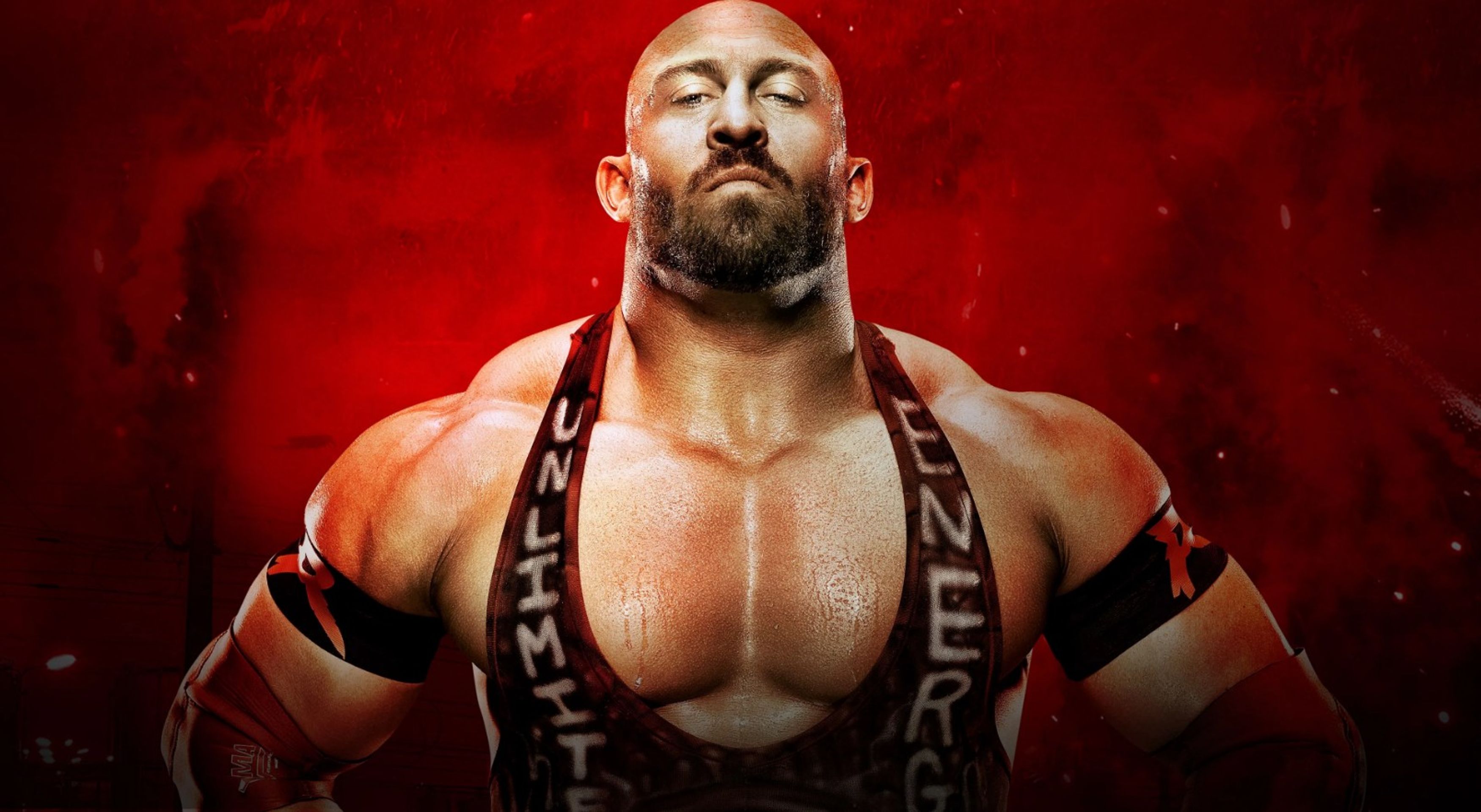 WWE 배틀그라운드 2013