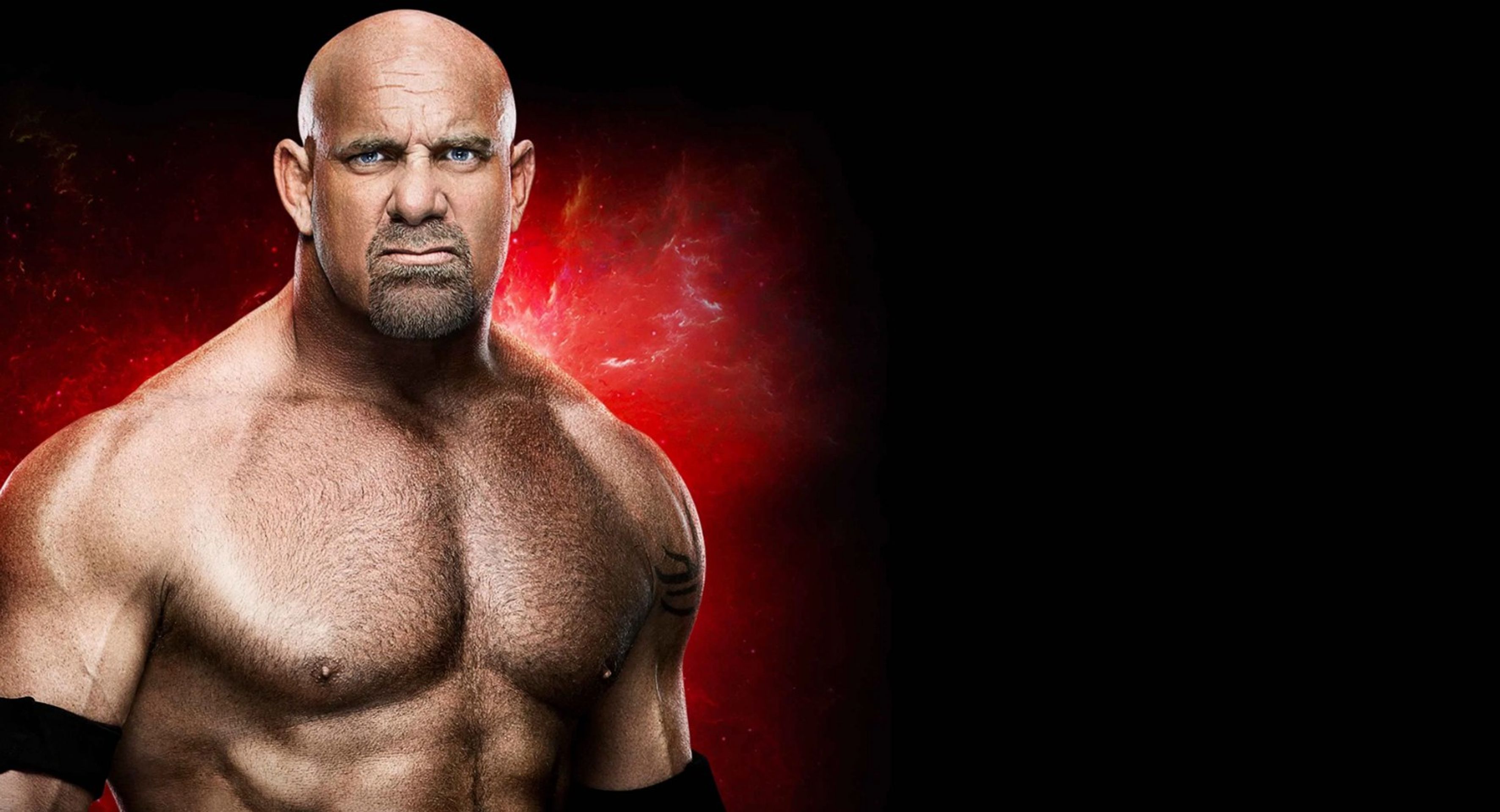 WWE 패스트레인 2017