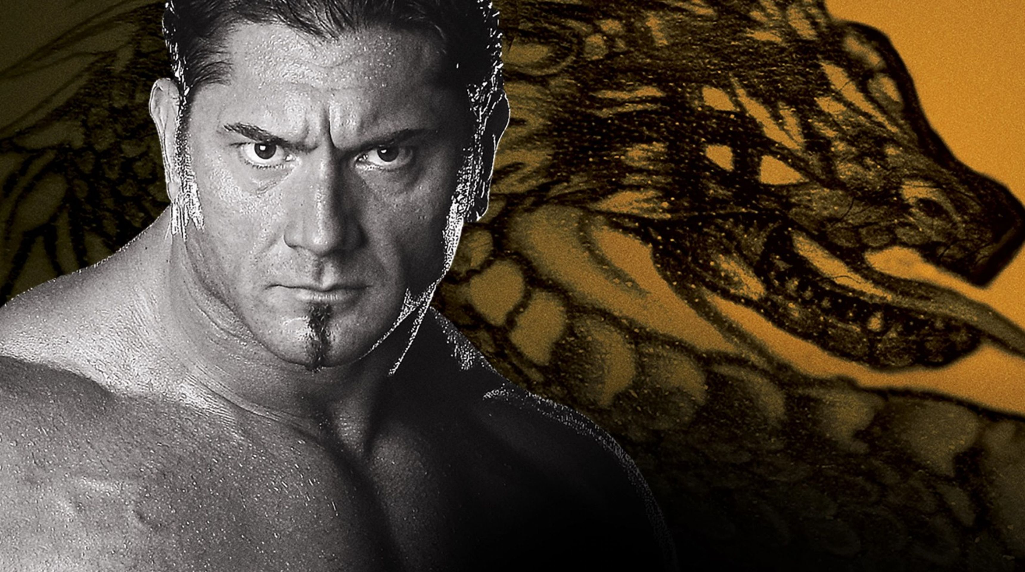 WWE 뉴 이어 레볼루션 2005