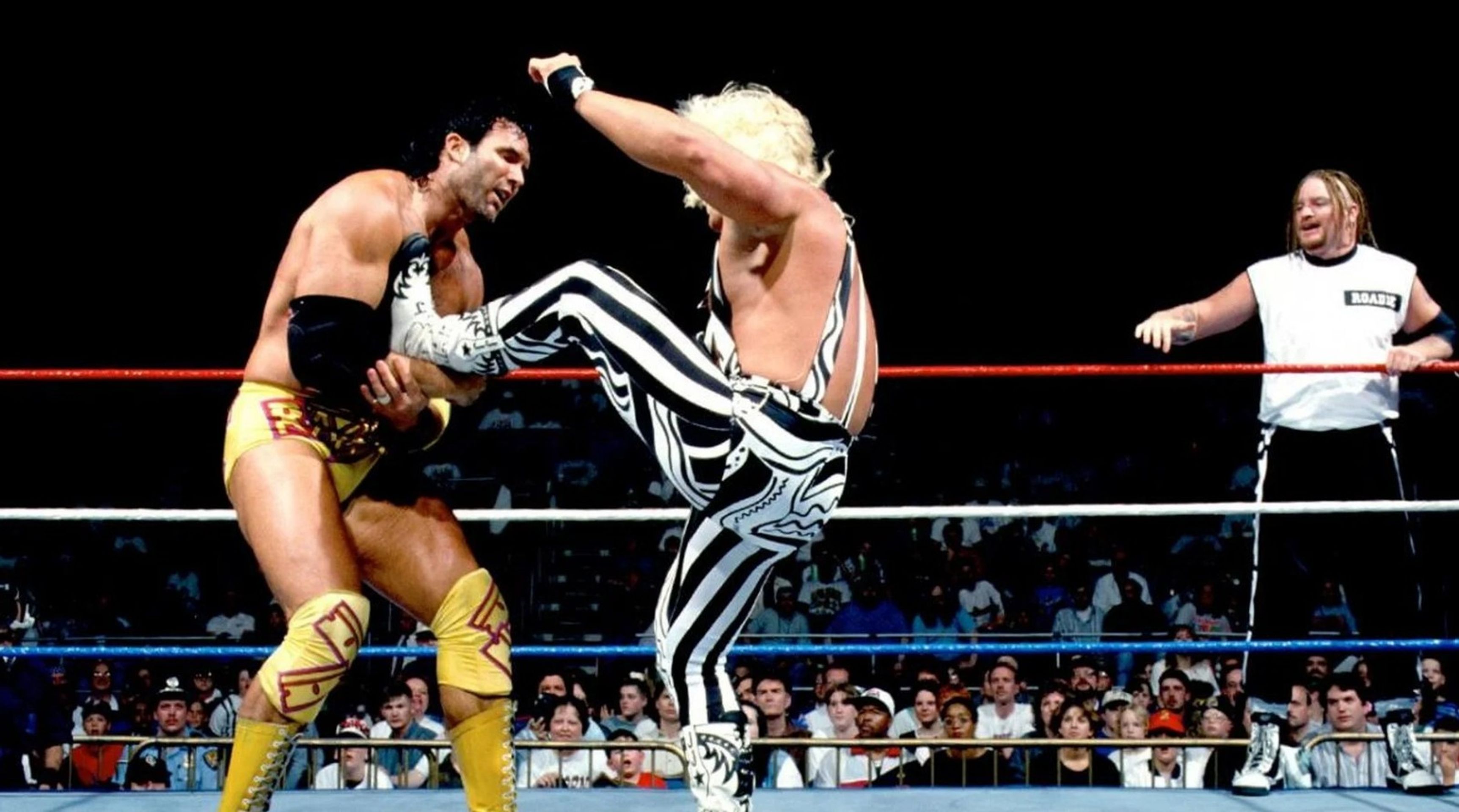 WWE 인 유어 하우스 1995
