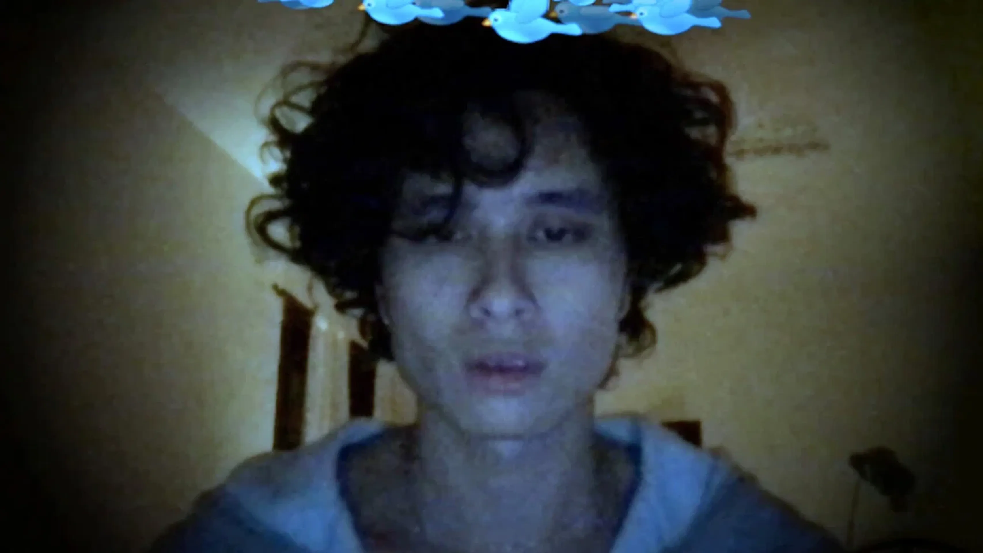디뷰, 오어, 옵젝츠 오브 더 필드 오브 디브리 애즈 큐렌틀리 캐털로그드