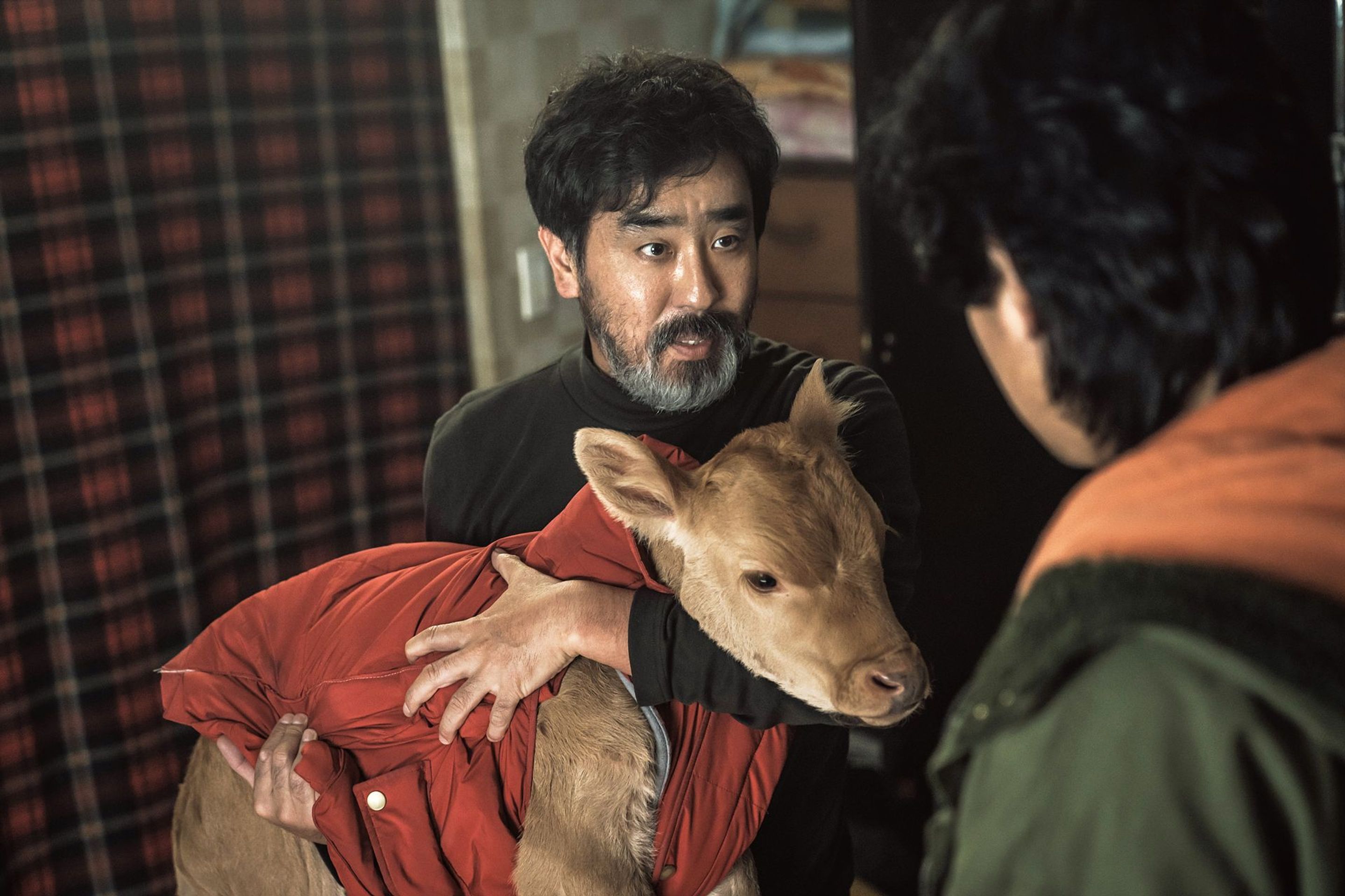 정가네