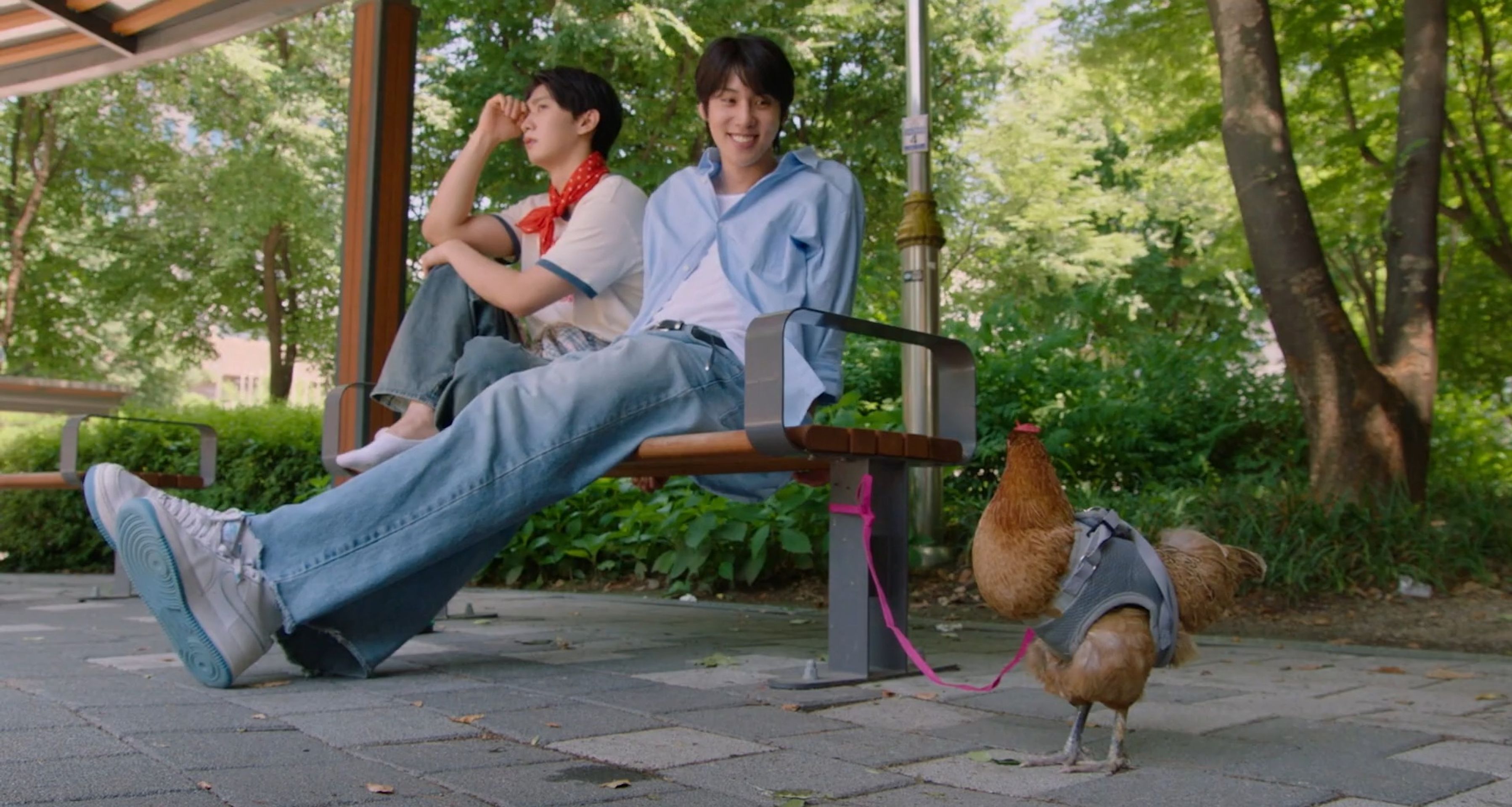 계(鷄), 섰거라