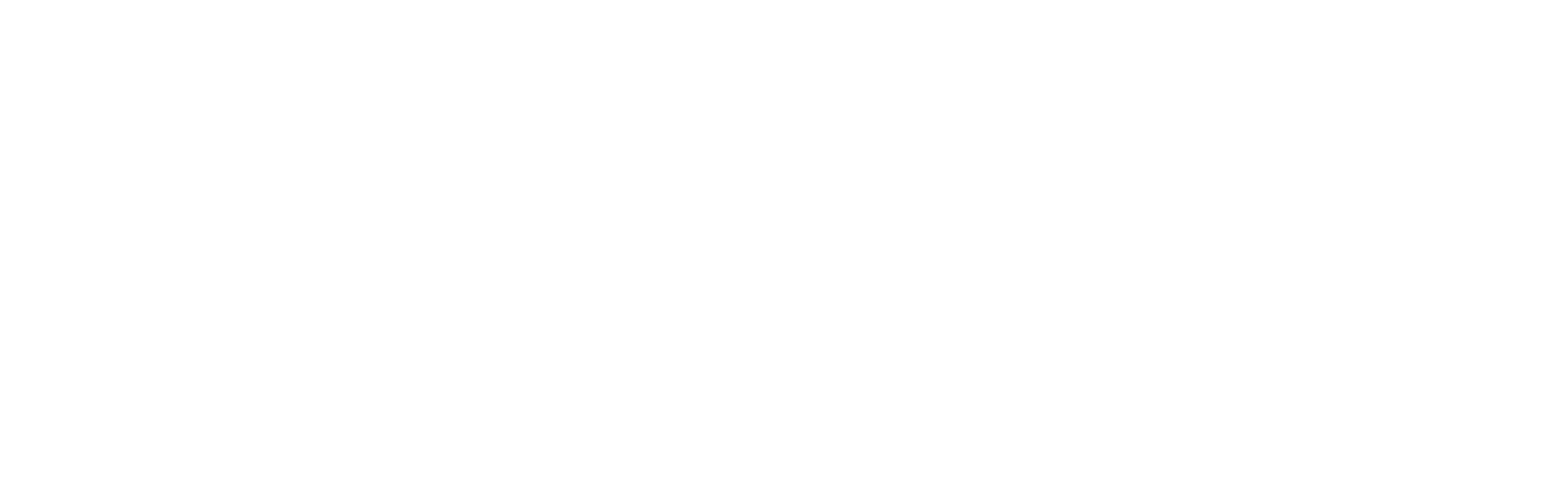 더 조거