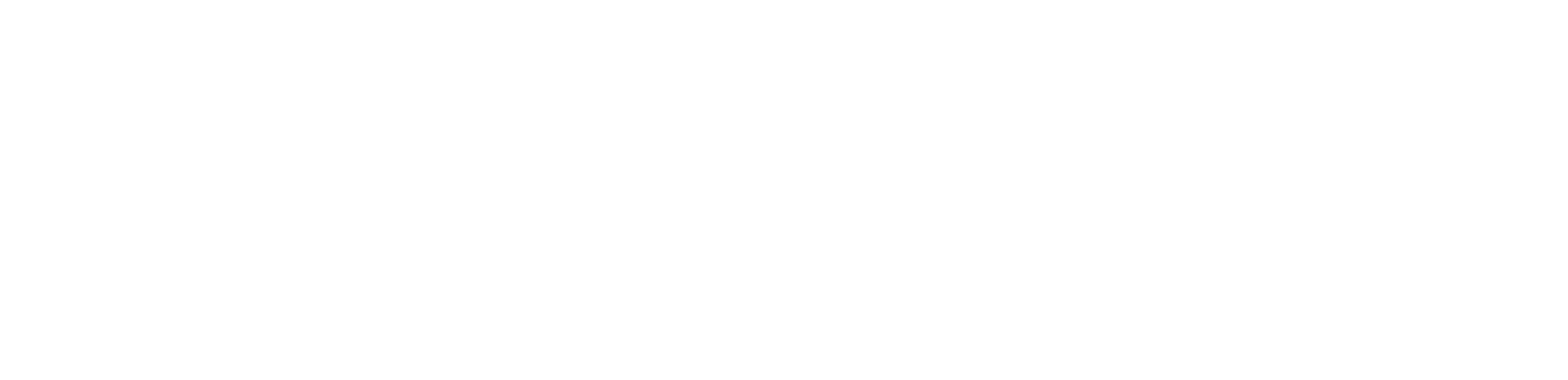더 워처스