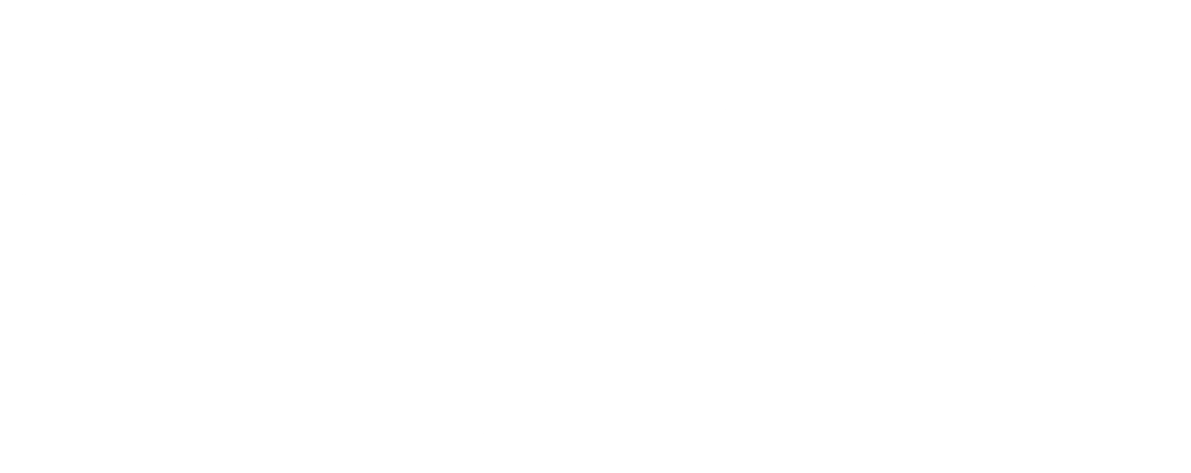 극속패론: 사랑의 역설적 속도