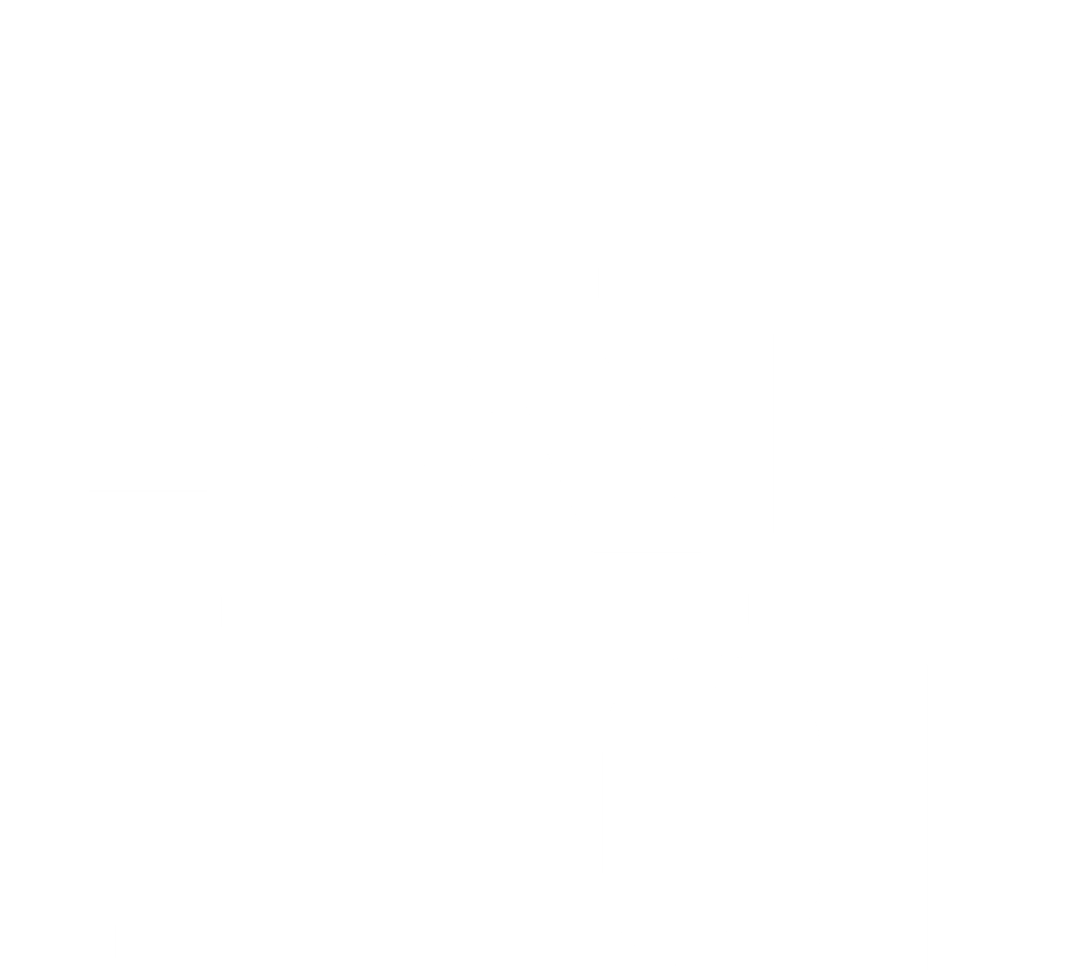더 라스트 보이