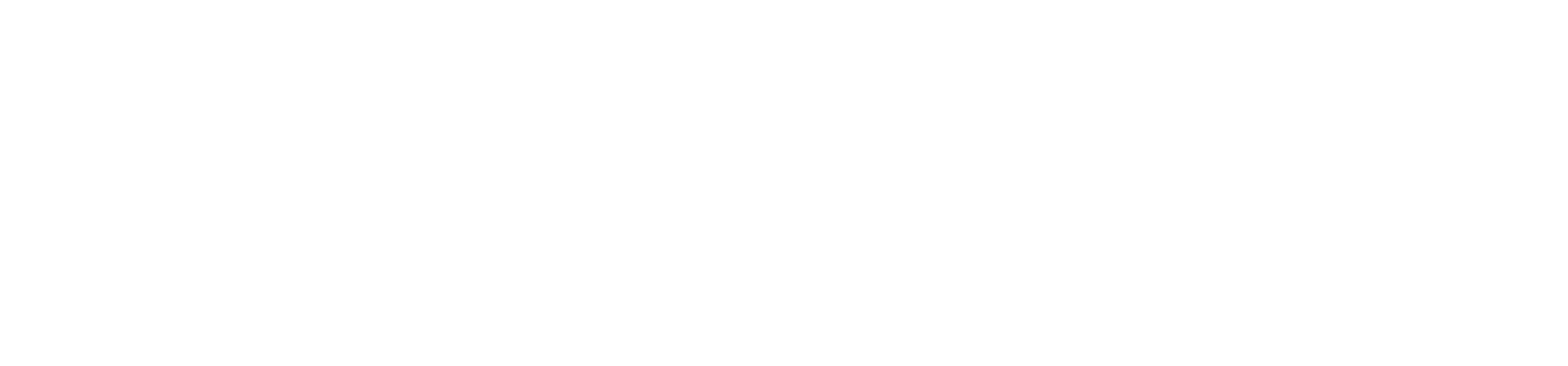 작전명 아이리스