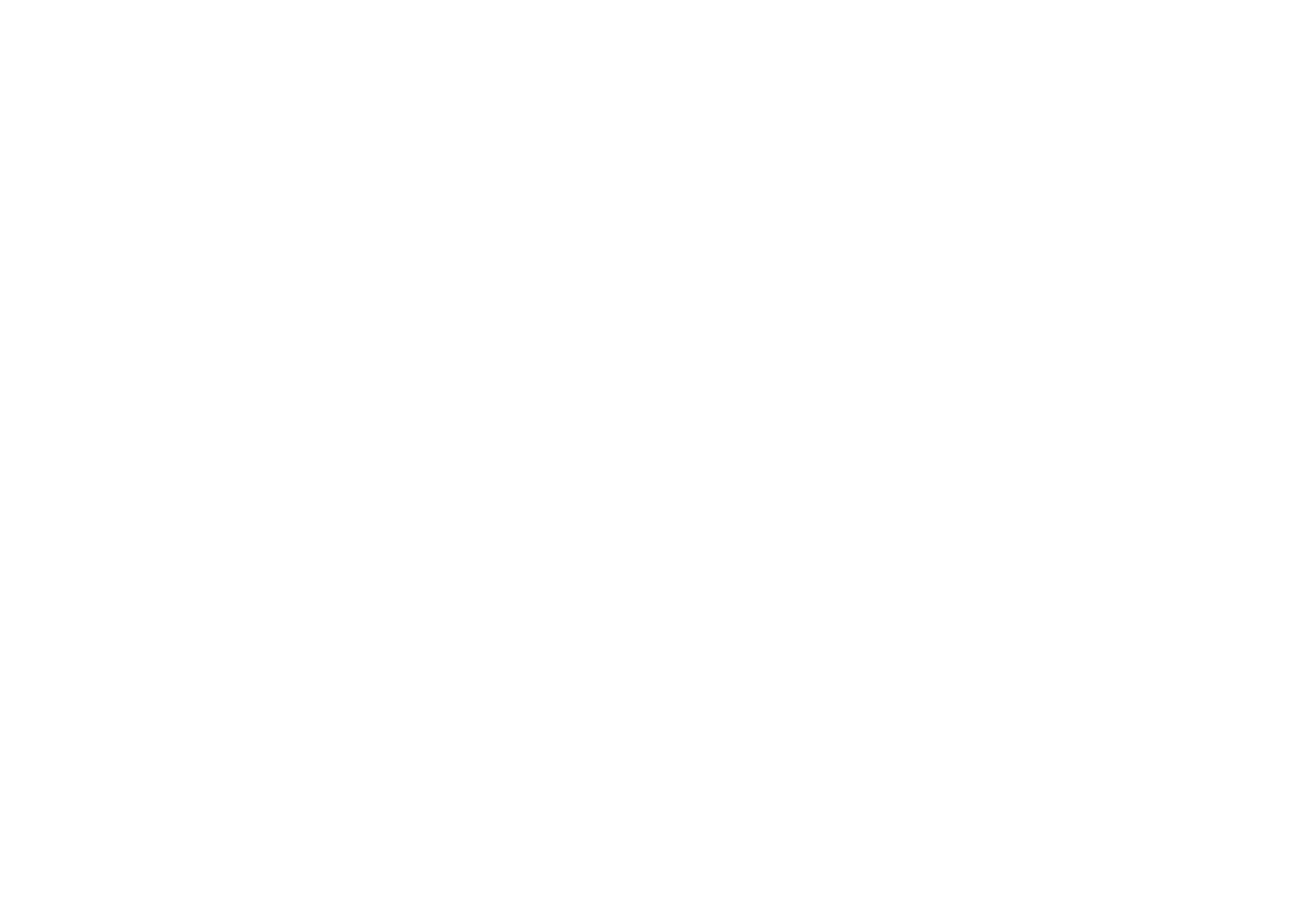 지옥에서 온 나의 고양이 시즌 8