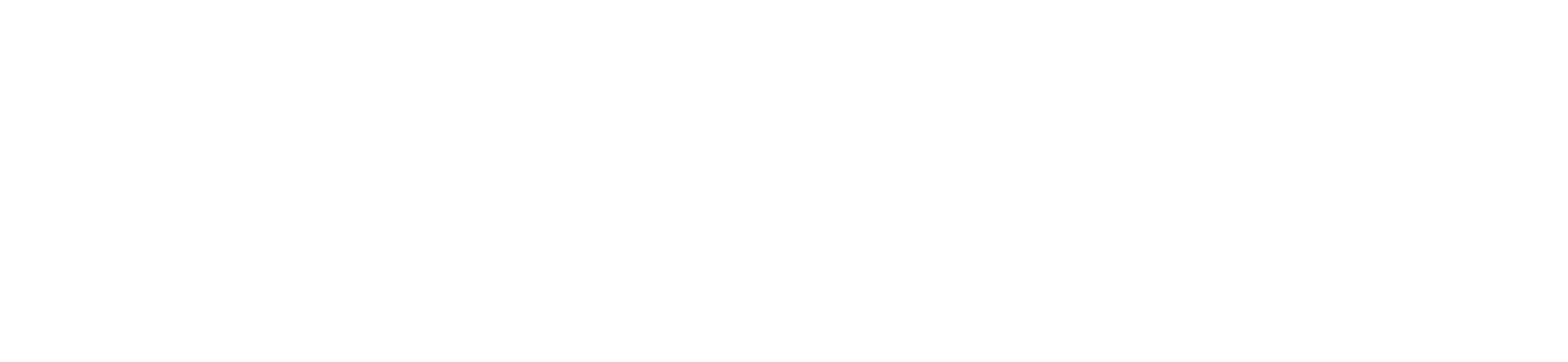 엘피 홉킨스