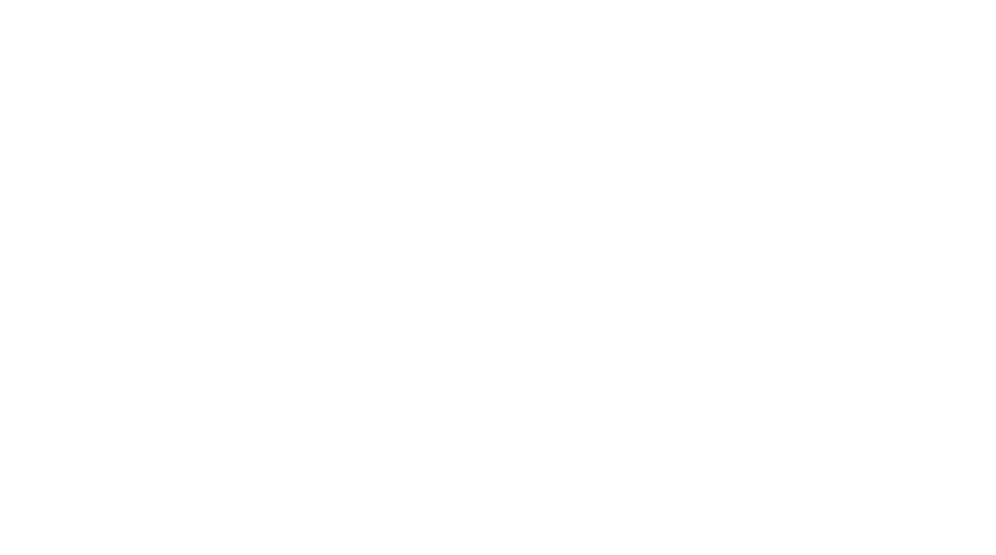 봄날의 곰을 좋아하세요?