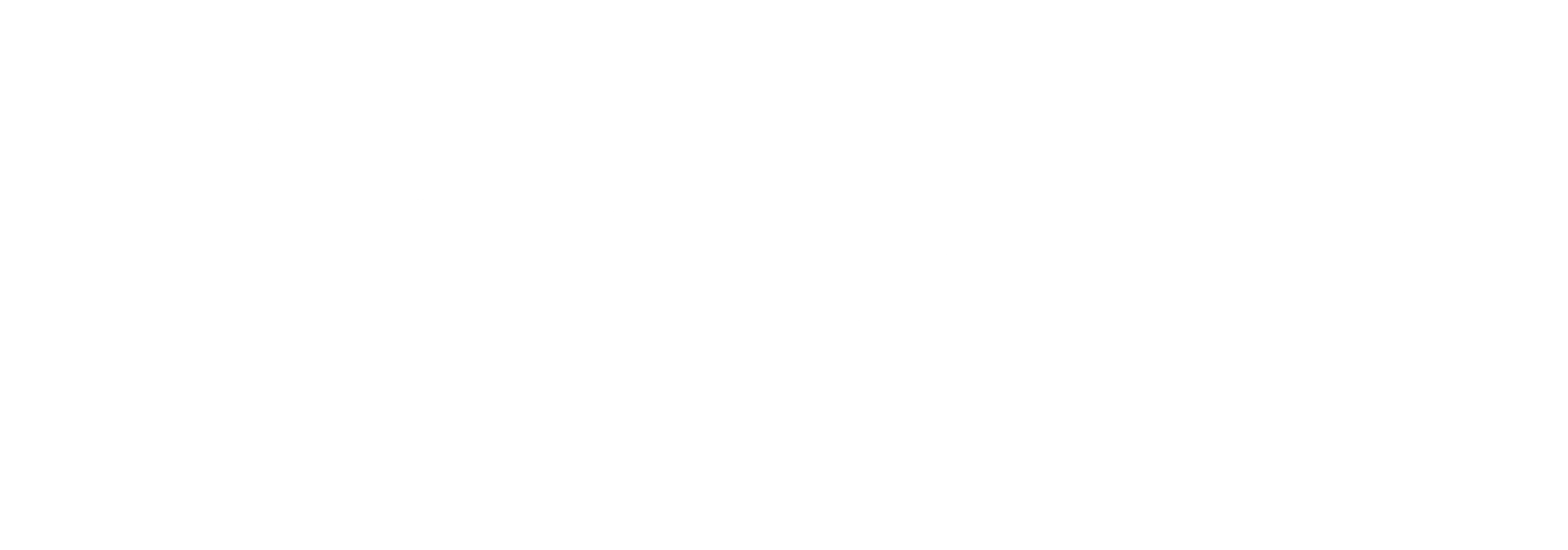 벌거숭이
