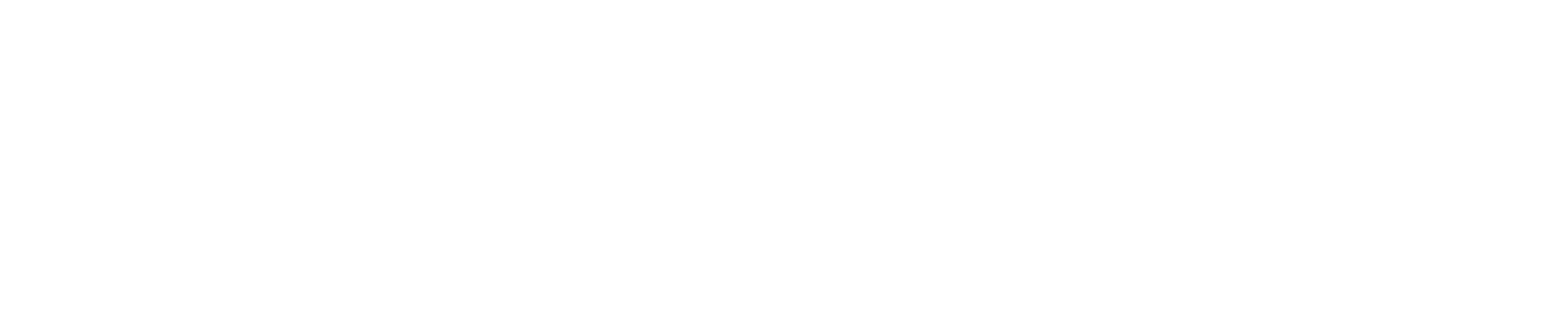 위선적 영웅