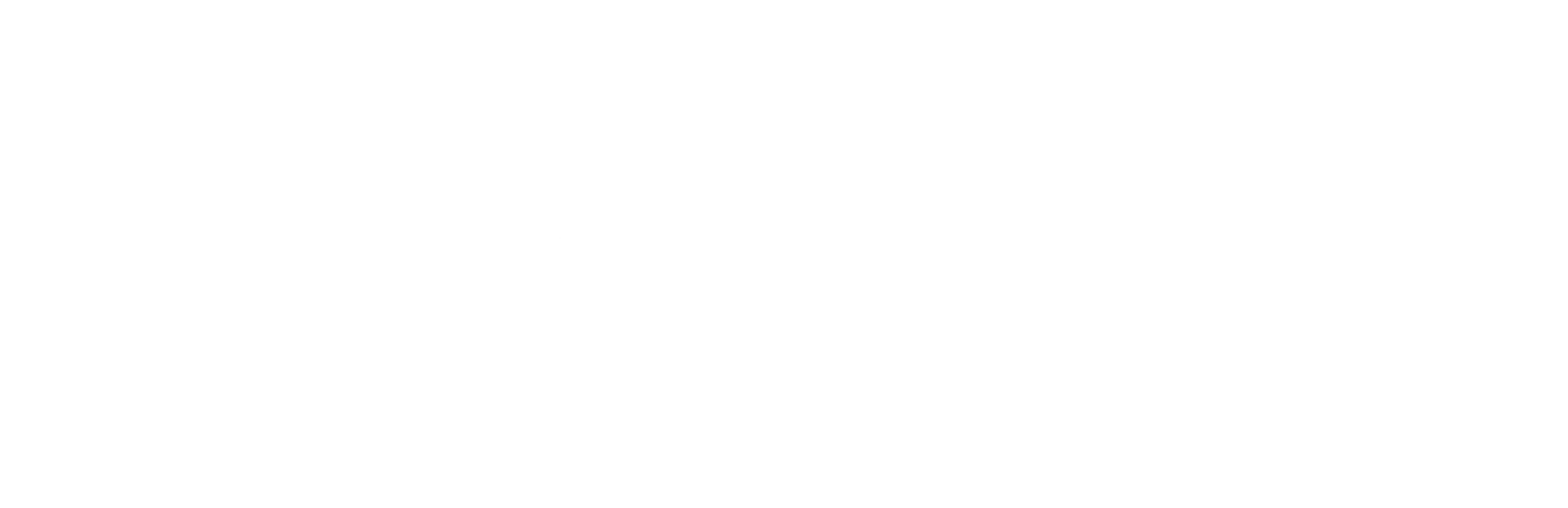 네이든