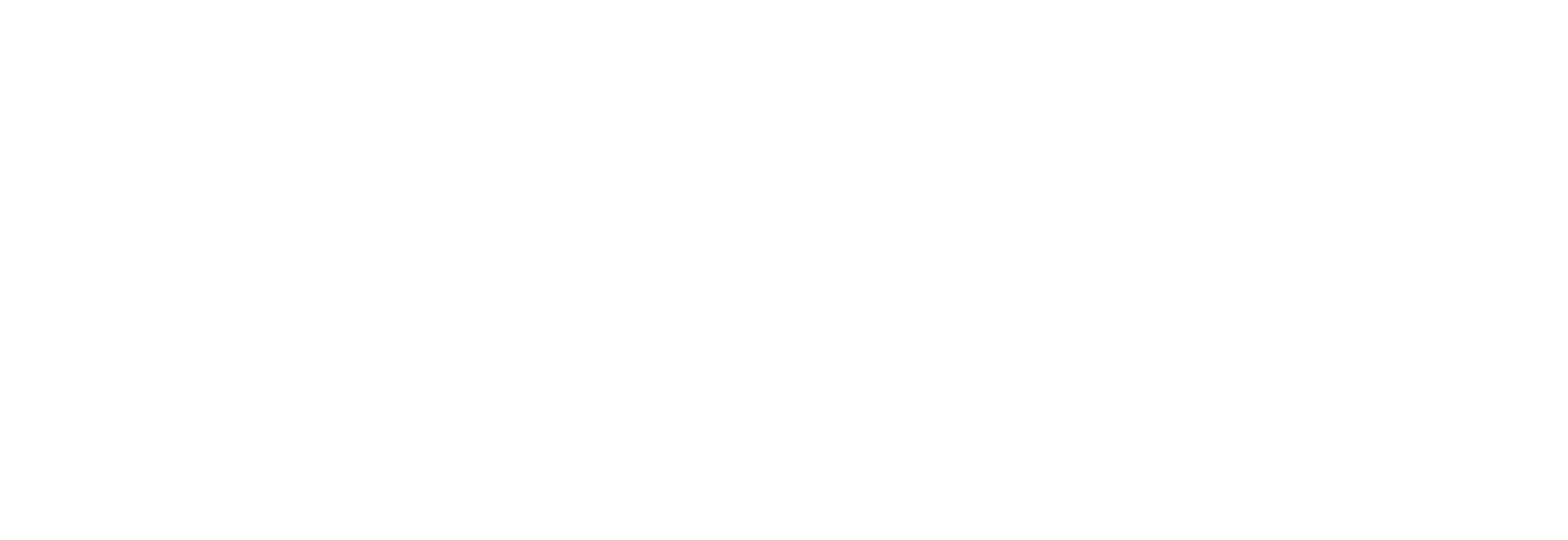 전투왕