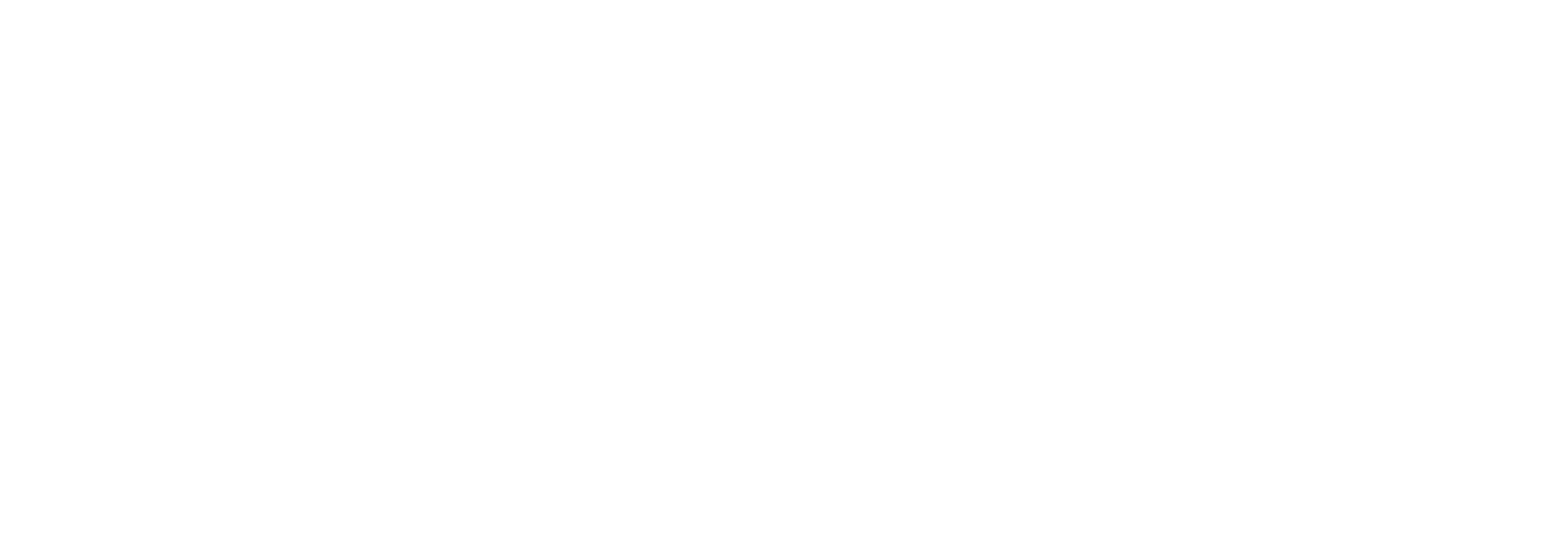 분노의 화살
