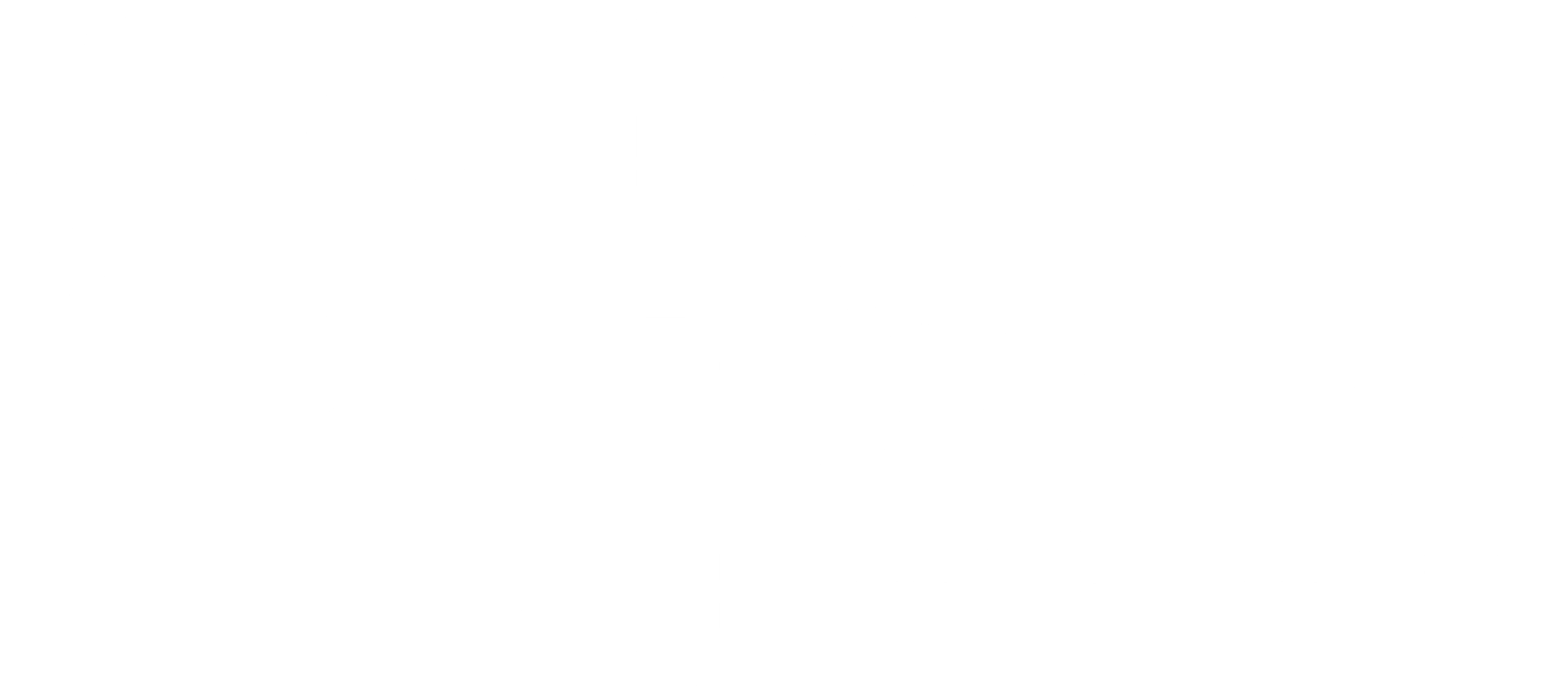 숲 속 대장 나르고