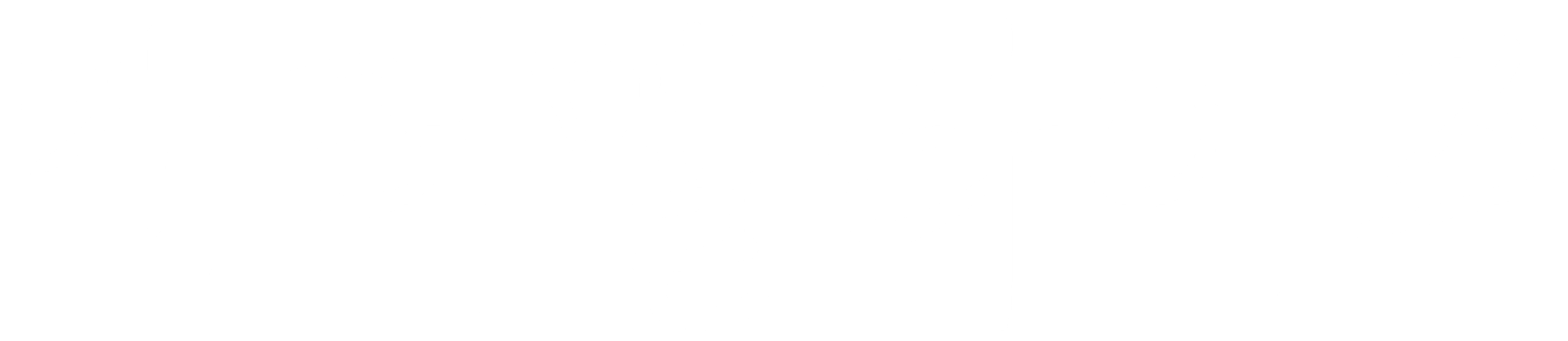 캐러멜라이즈