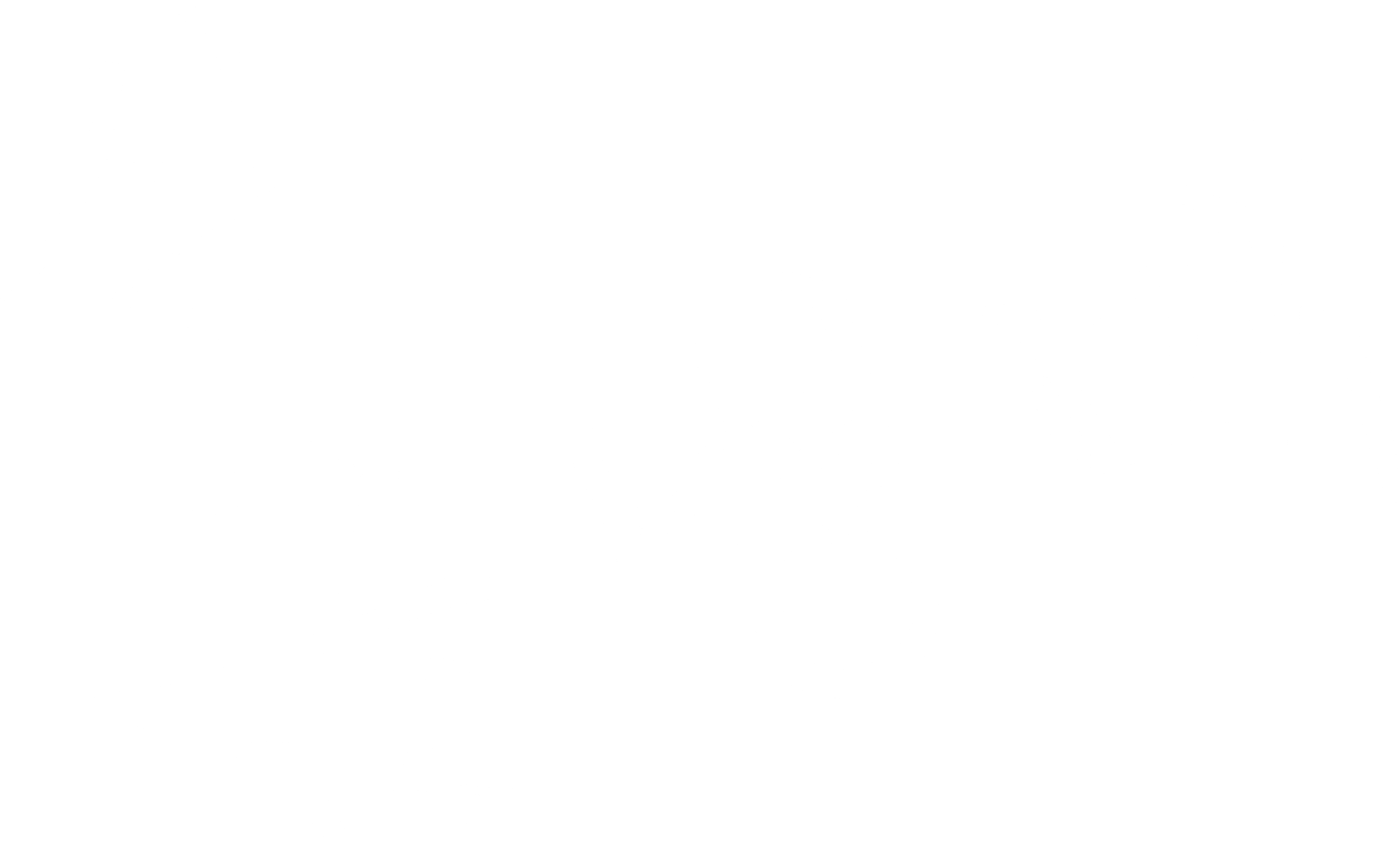 신 금병매