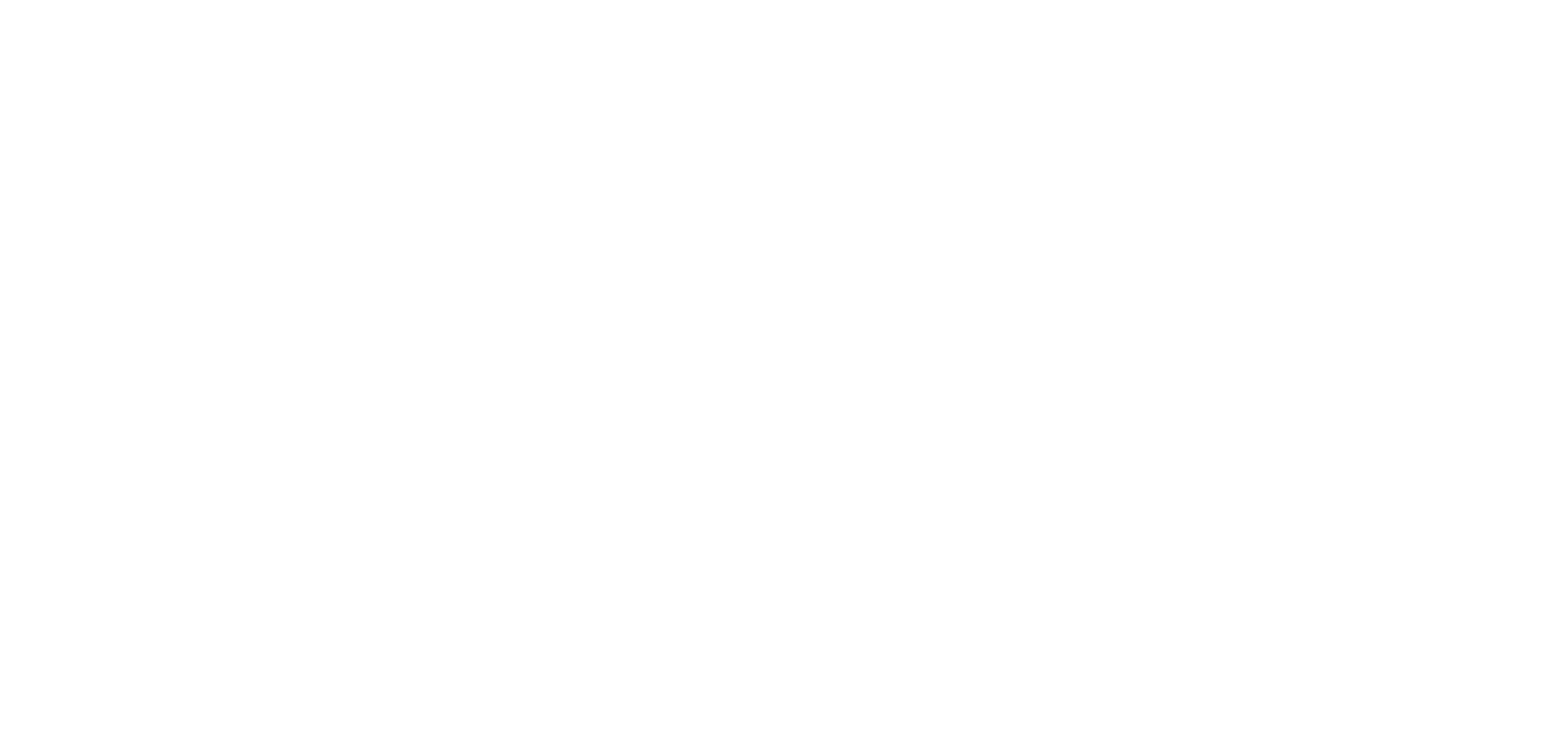 쿵푸허슬: 화운사신지항룡십팔장