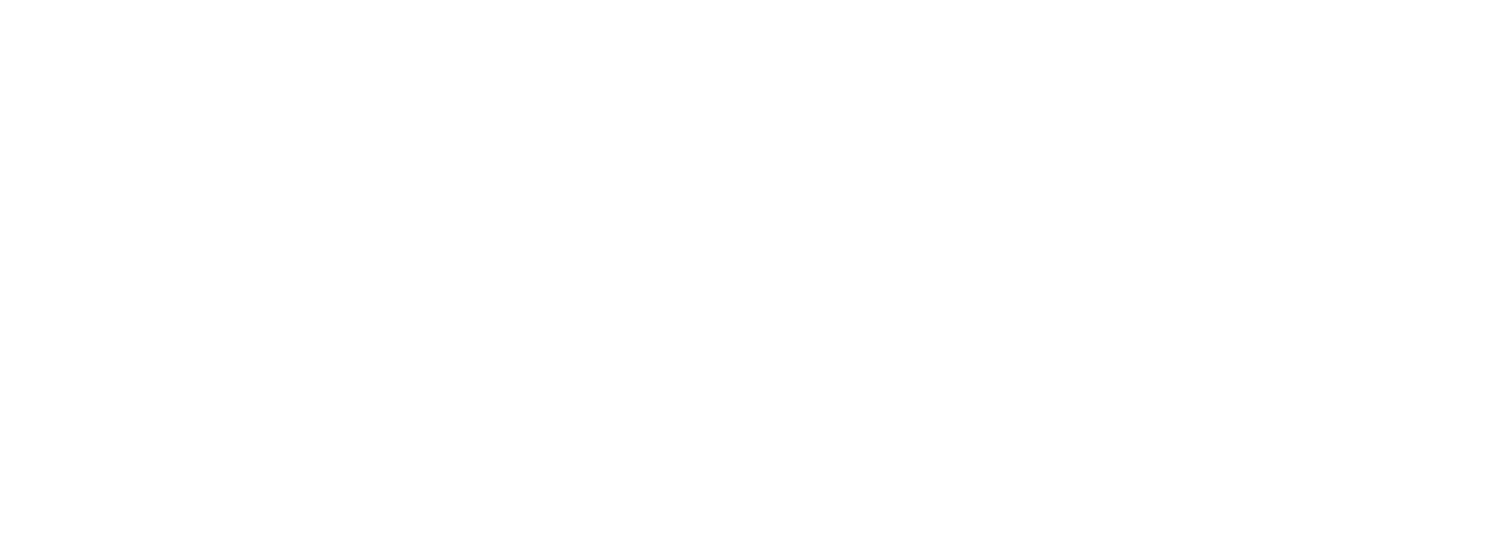 스턴트맨: 액션