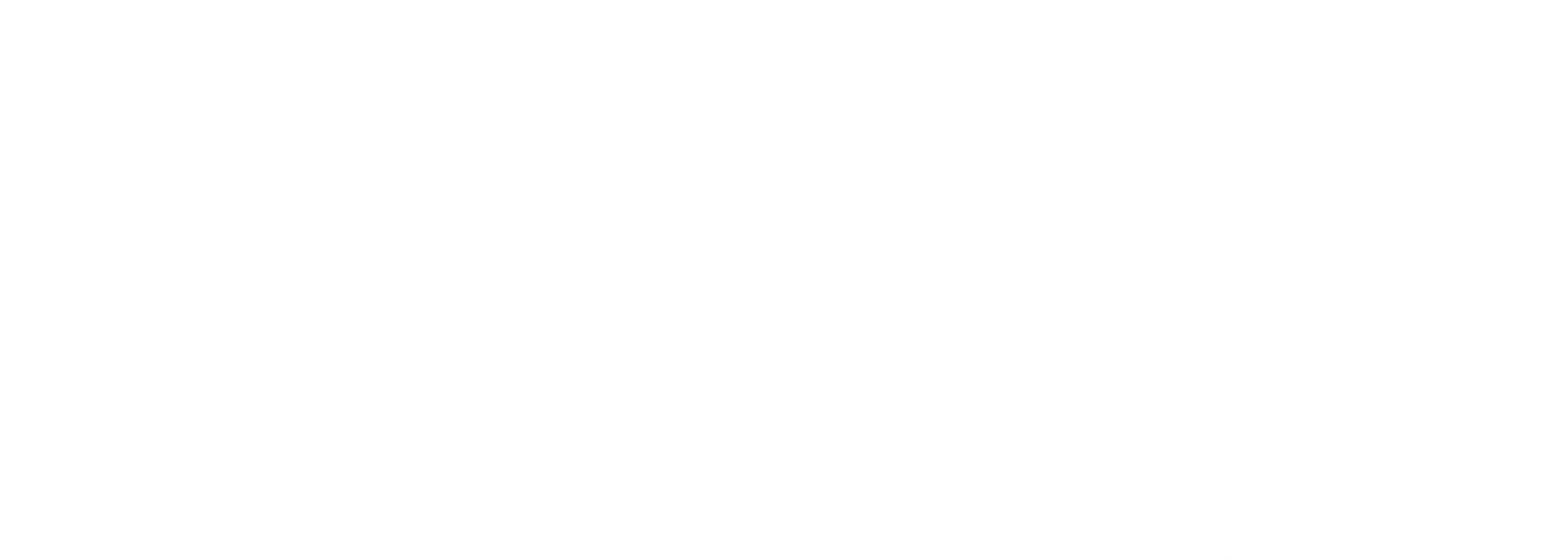 실종