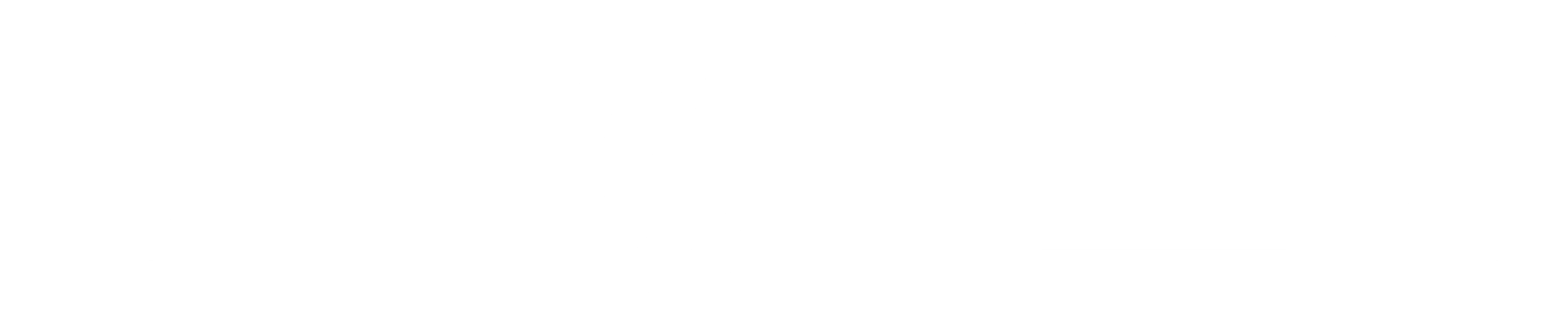 닌자 VS 몬스터
