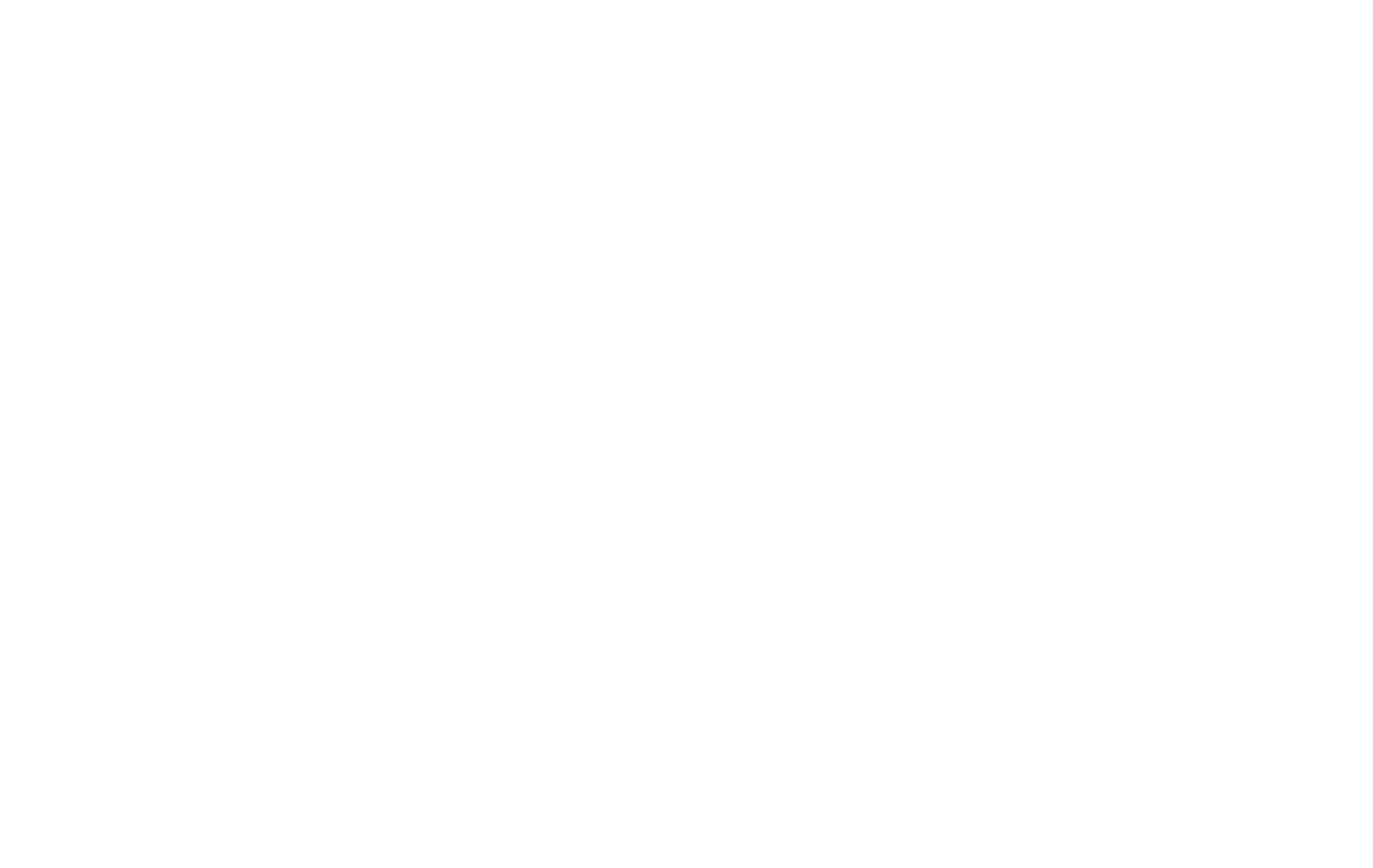 무사: 일대종사