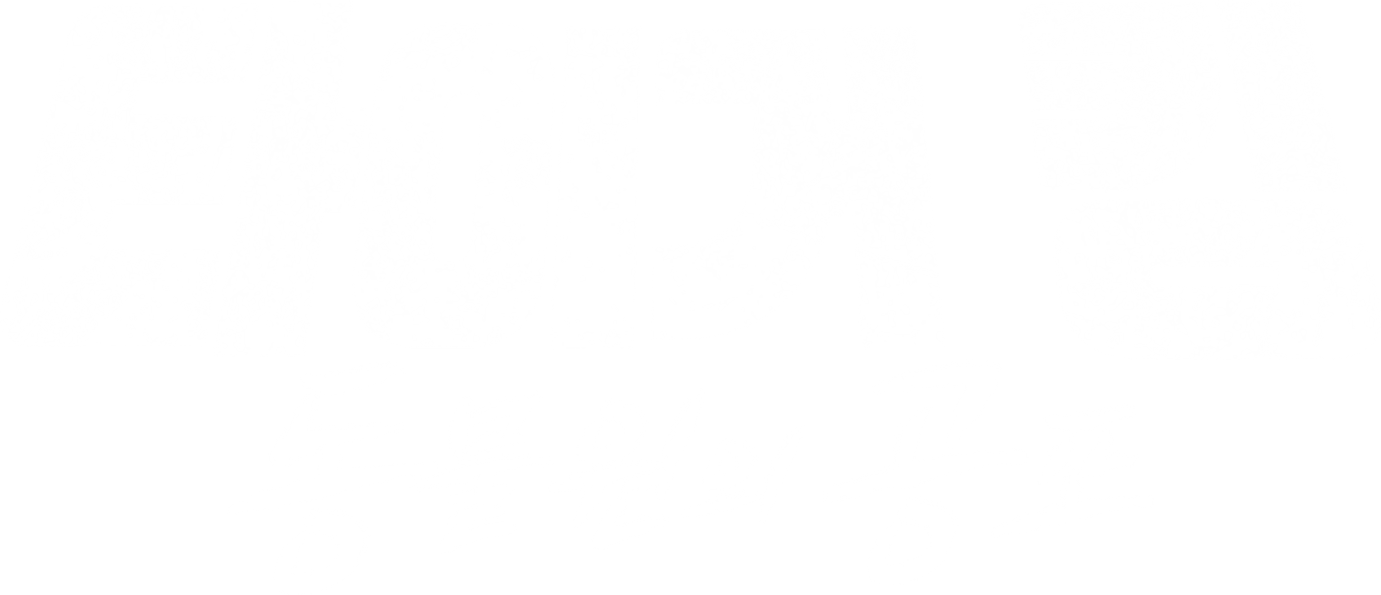 타이거 킹 동물원의 공포