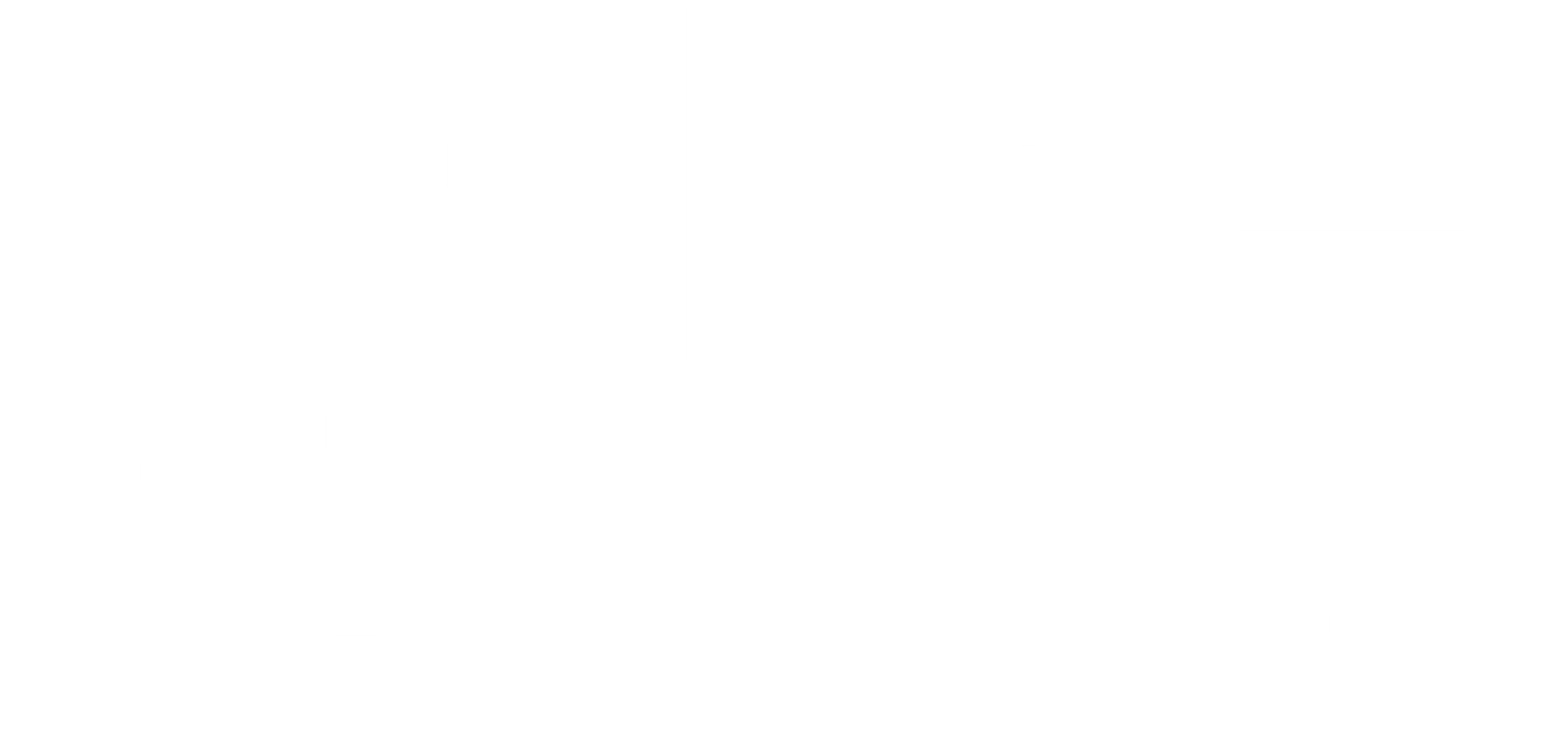 상어 매버릭- 청상아리 추적