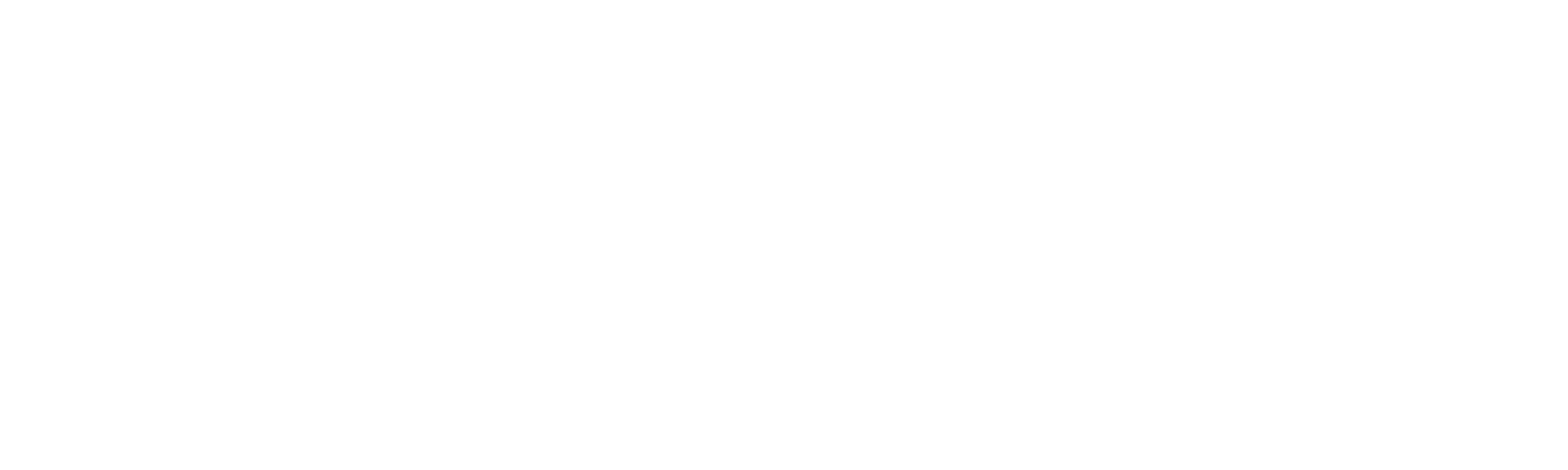 정신감량