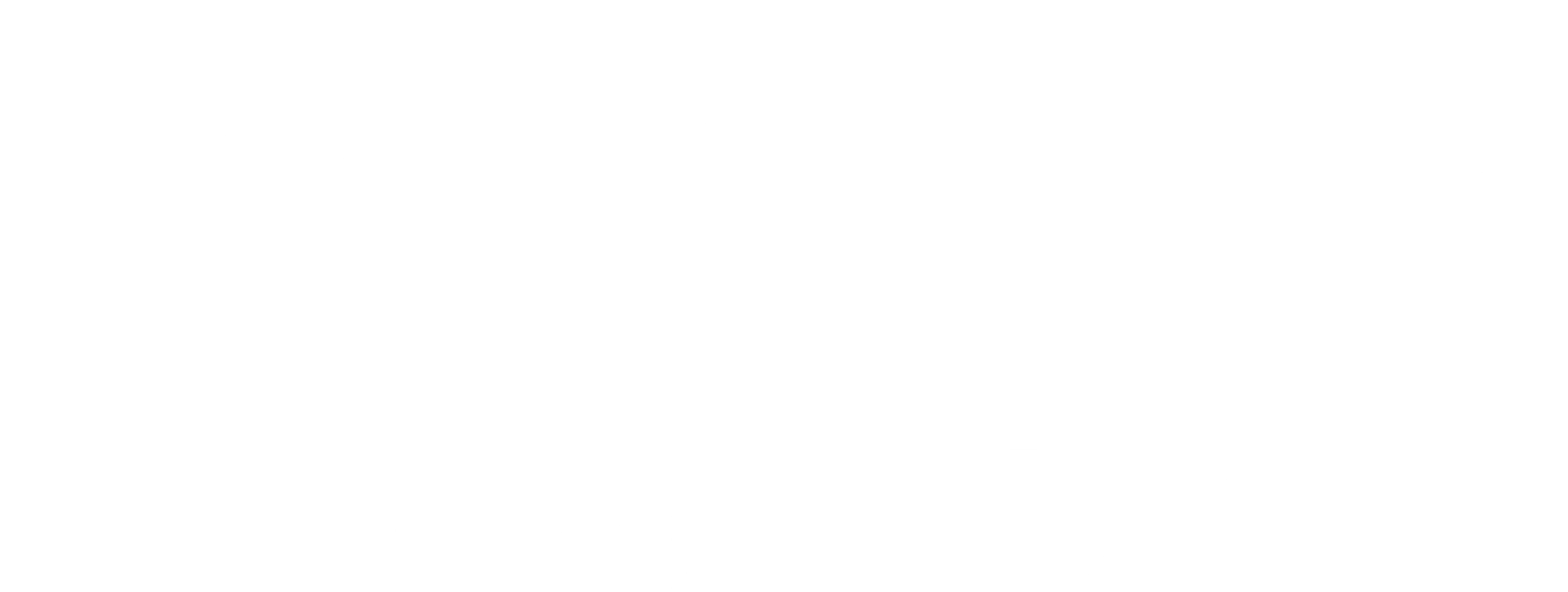 콘플릭트:최대의 항쟁
