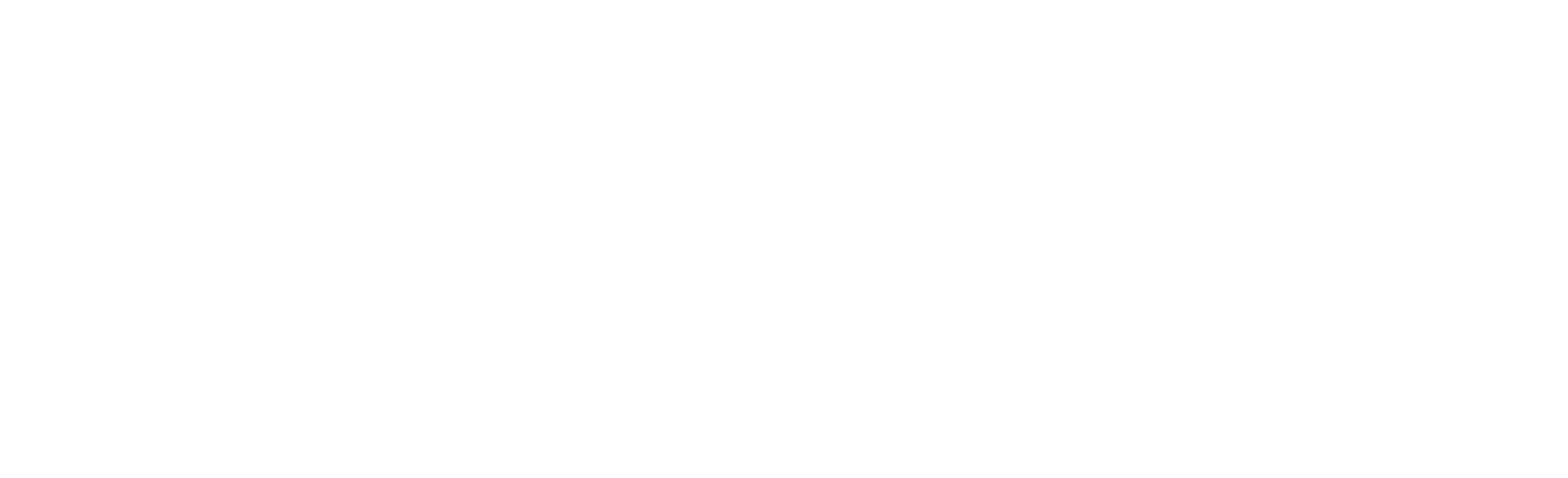 해결사들