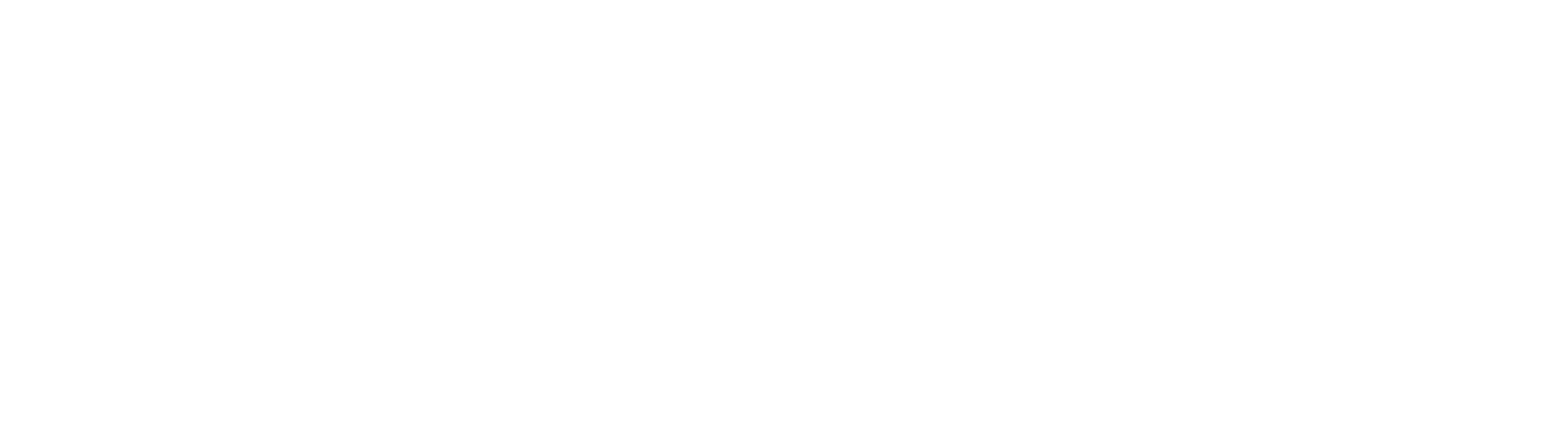 미스터 노바디: 감독판