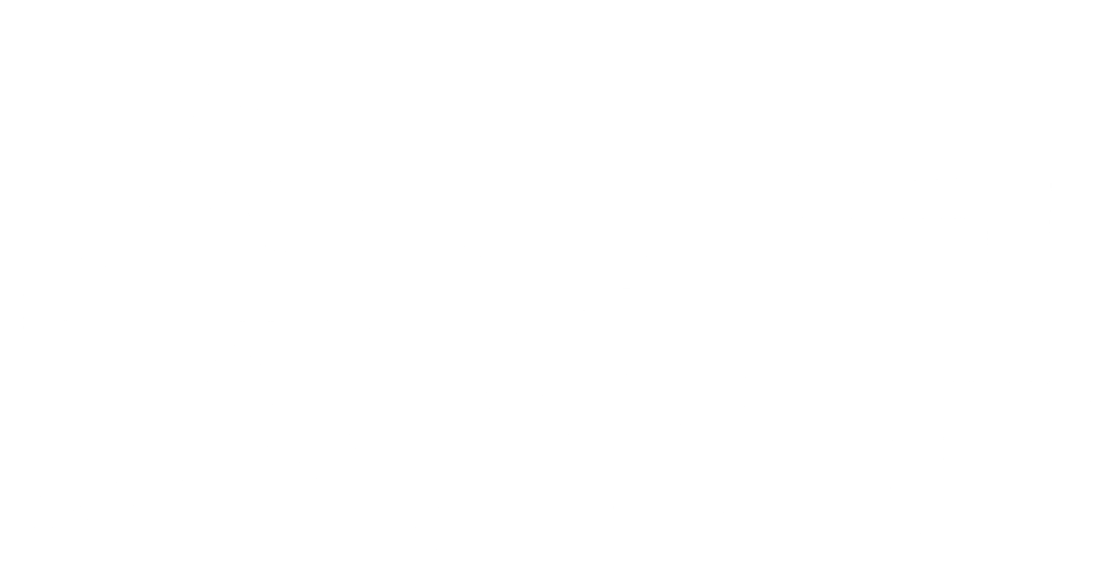 숫호구