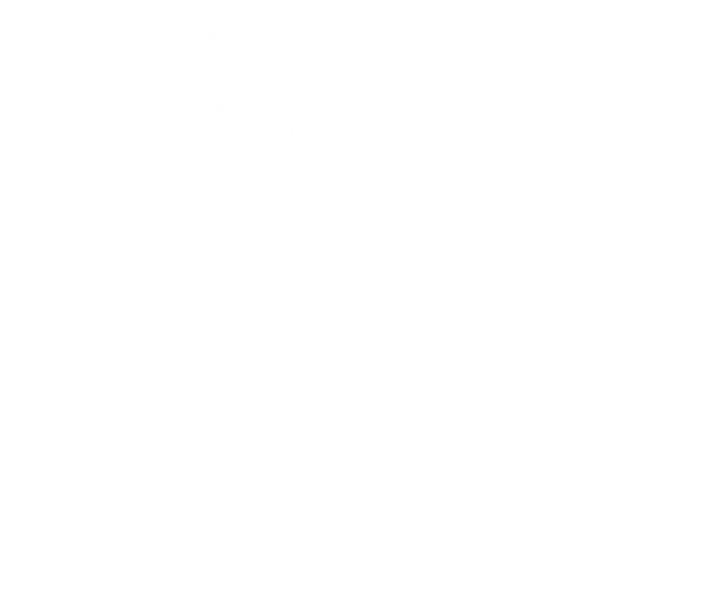 야수
