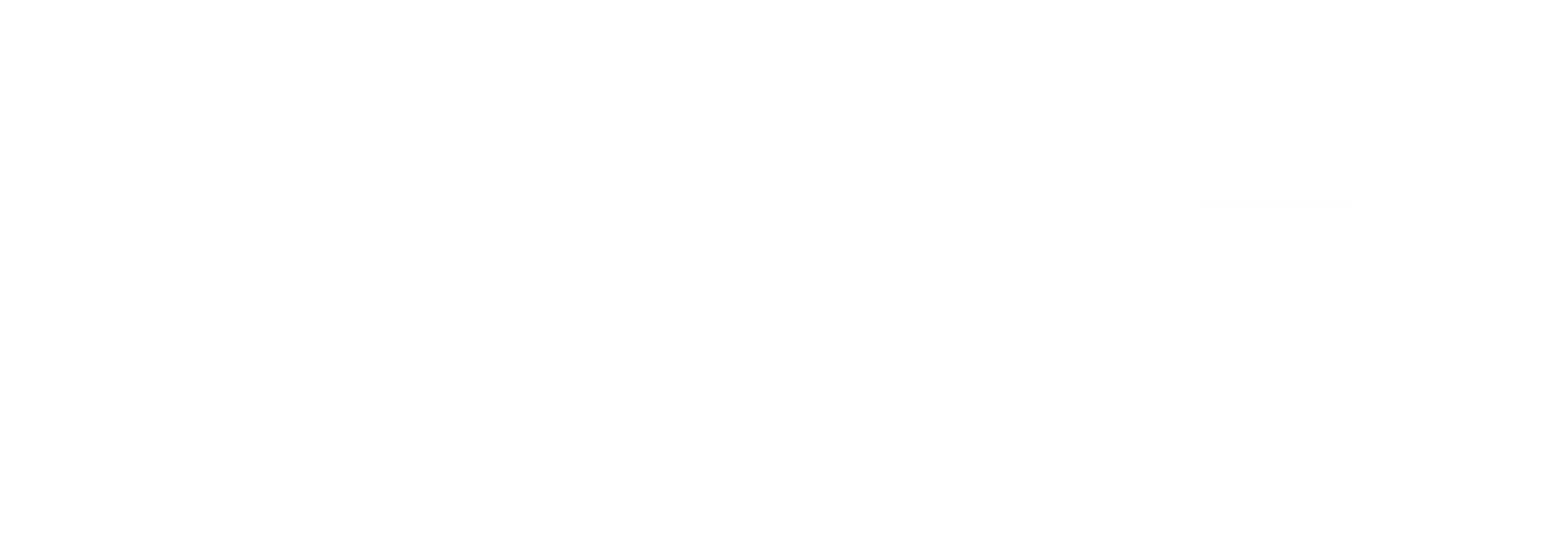 화이트 밴: 공포의 추격자