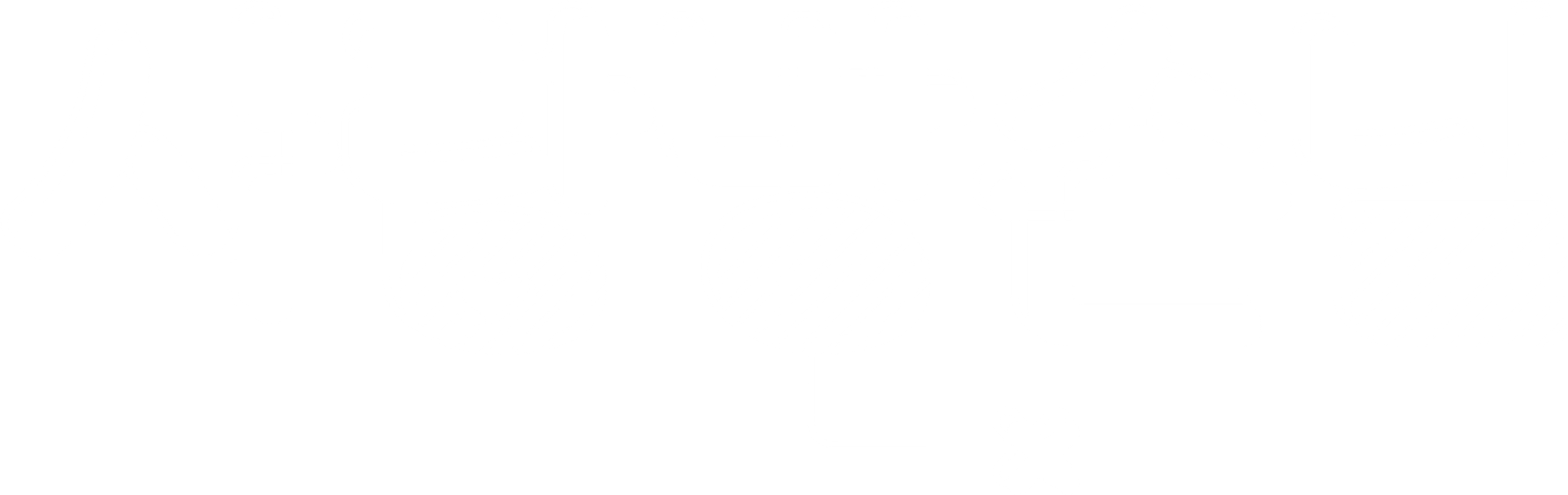사랑방 손님