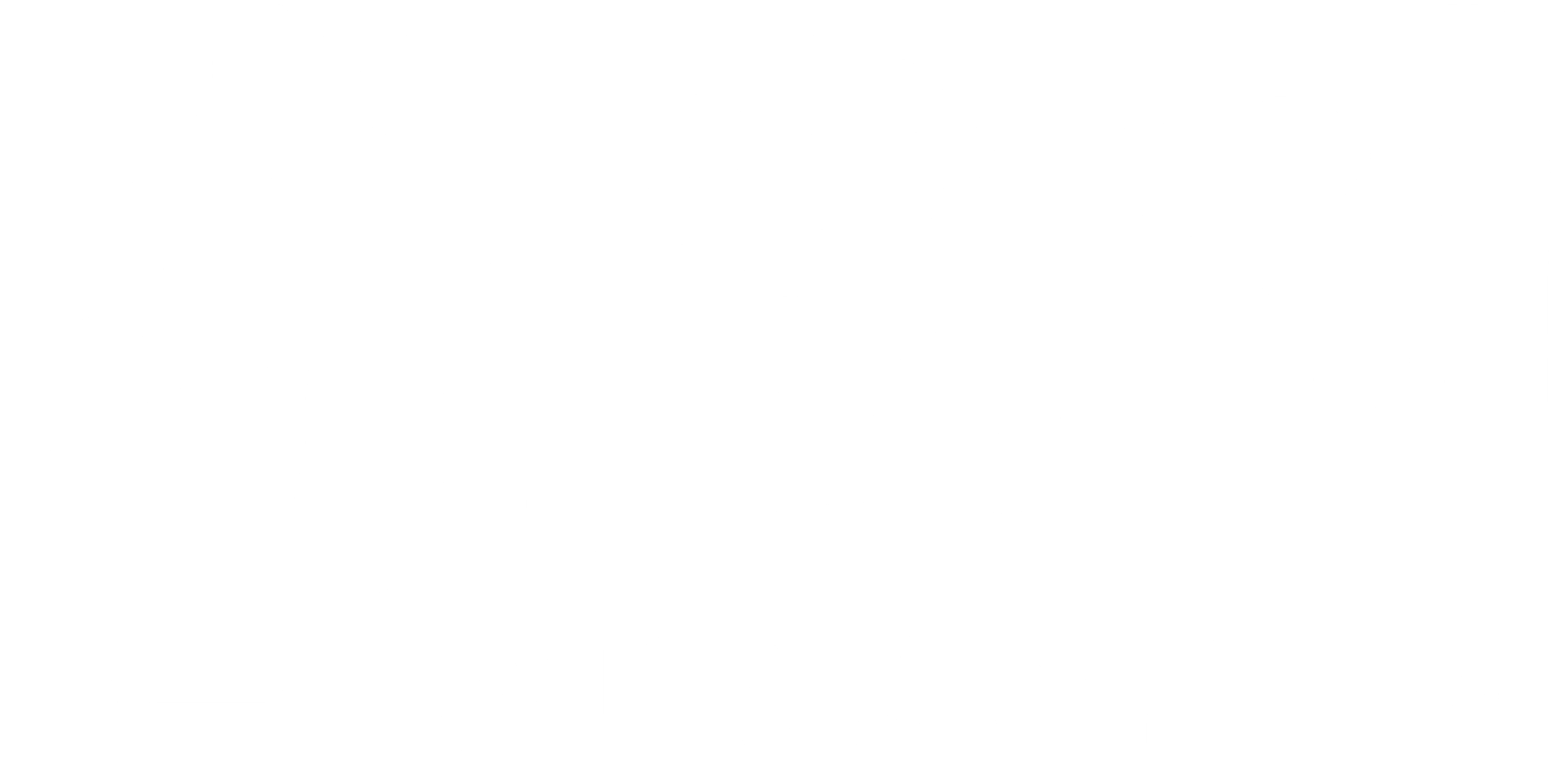 수호지-천하대영웅 손신