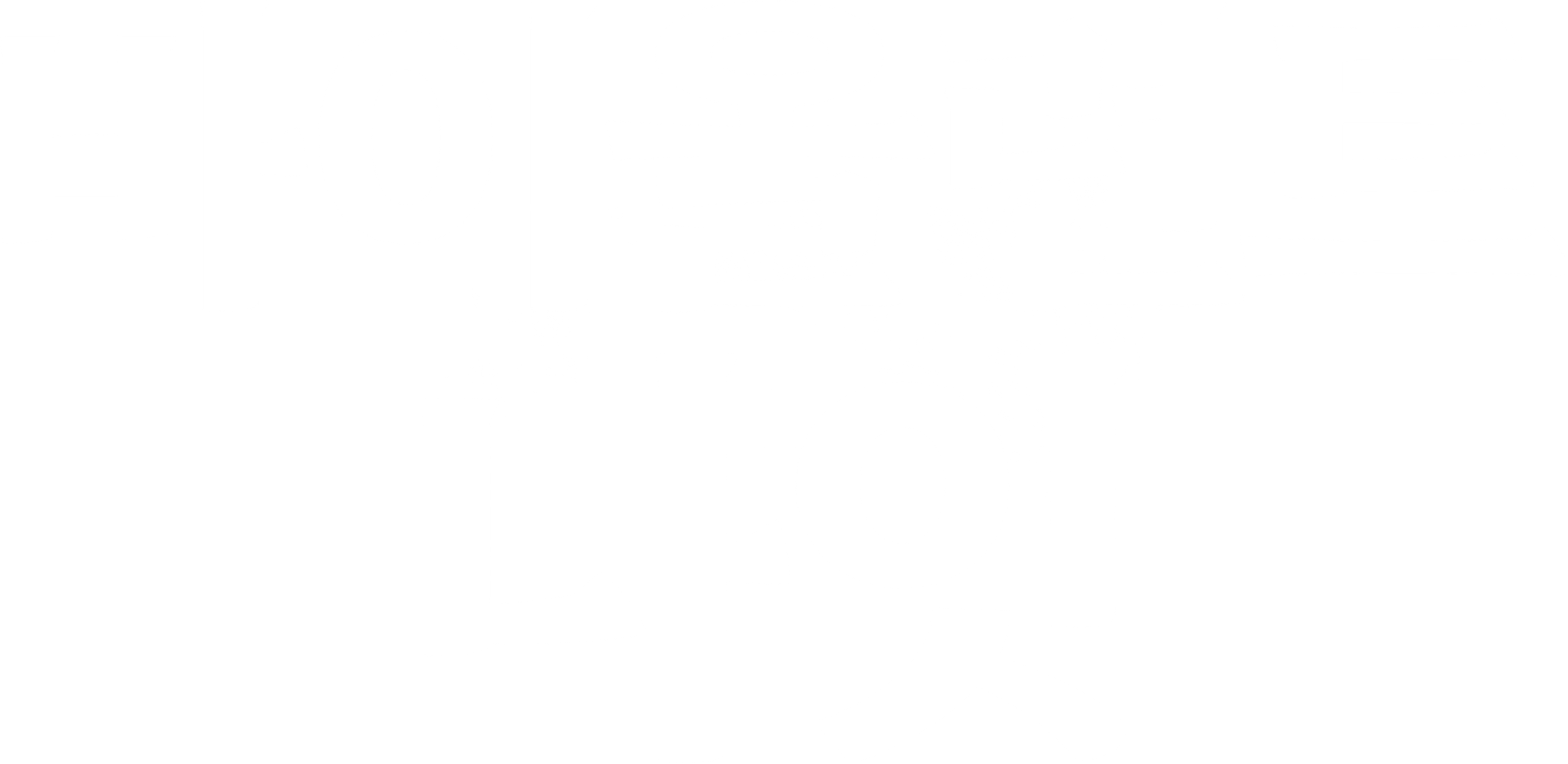 바이올런트 나잇