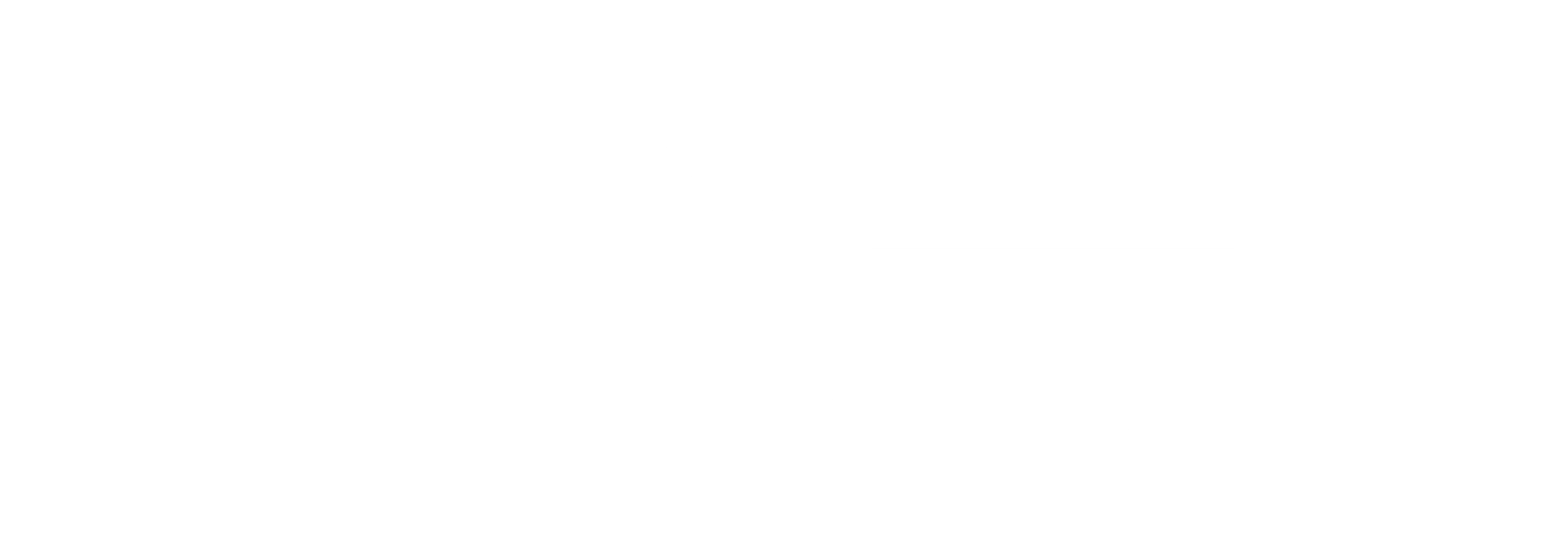 거실에 아이돌이 산다