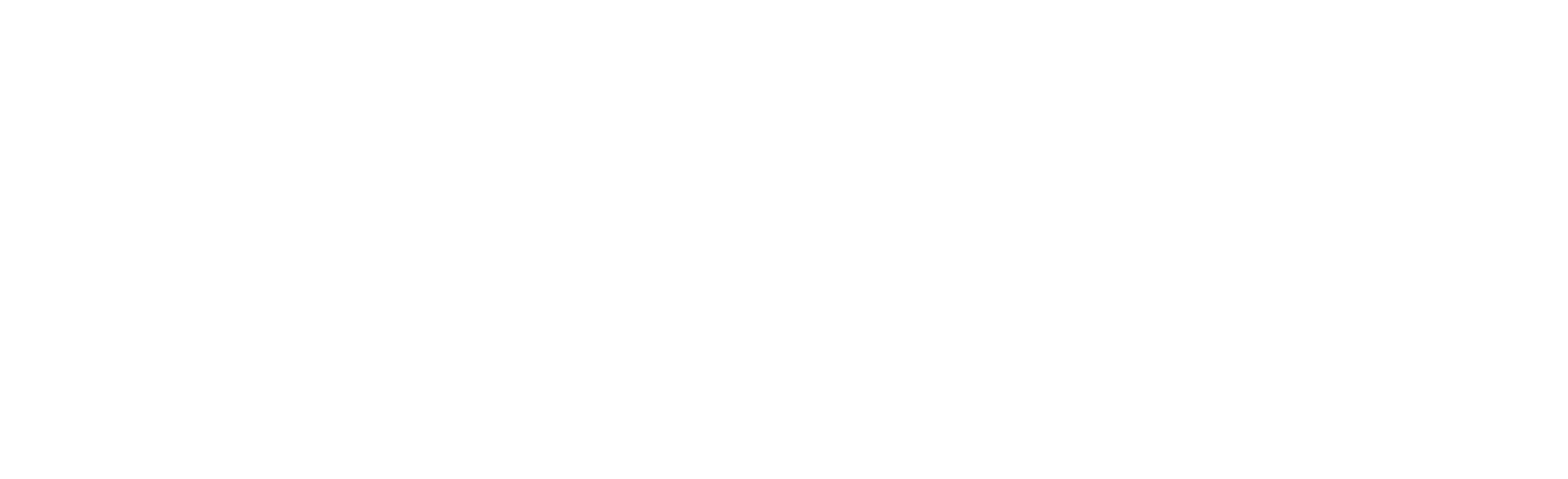 라이더